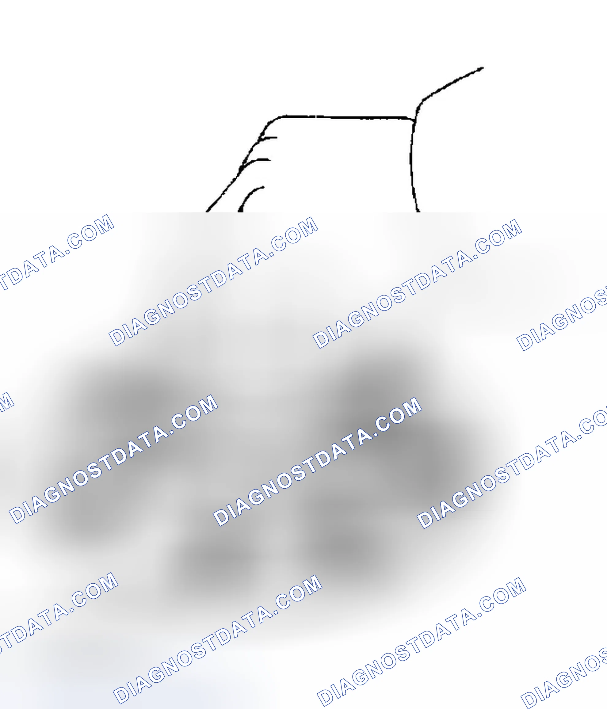 Scheme 87: INSPECTION PROCEDURE