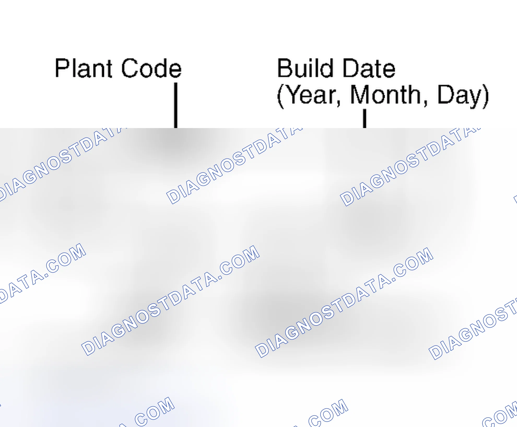 Scheme 8: AXLE RATIO & IDENTIFICATION