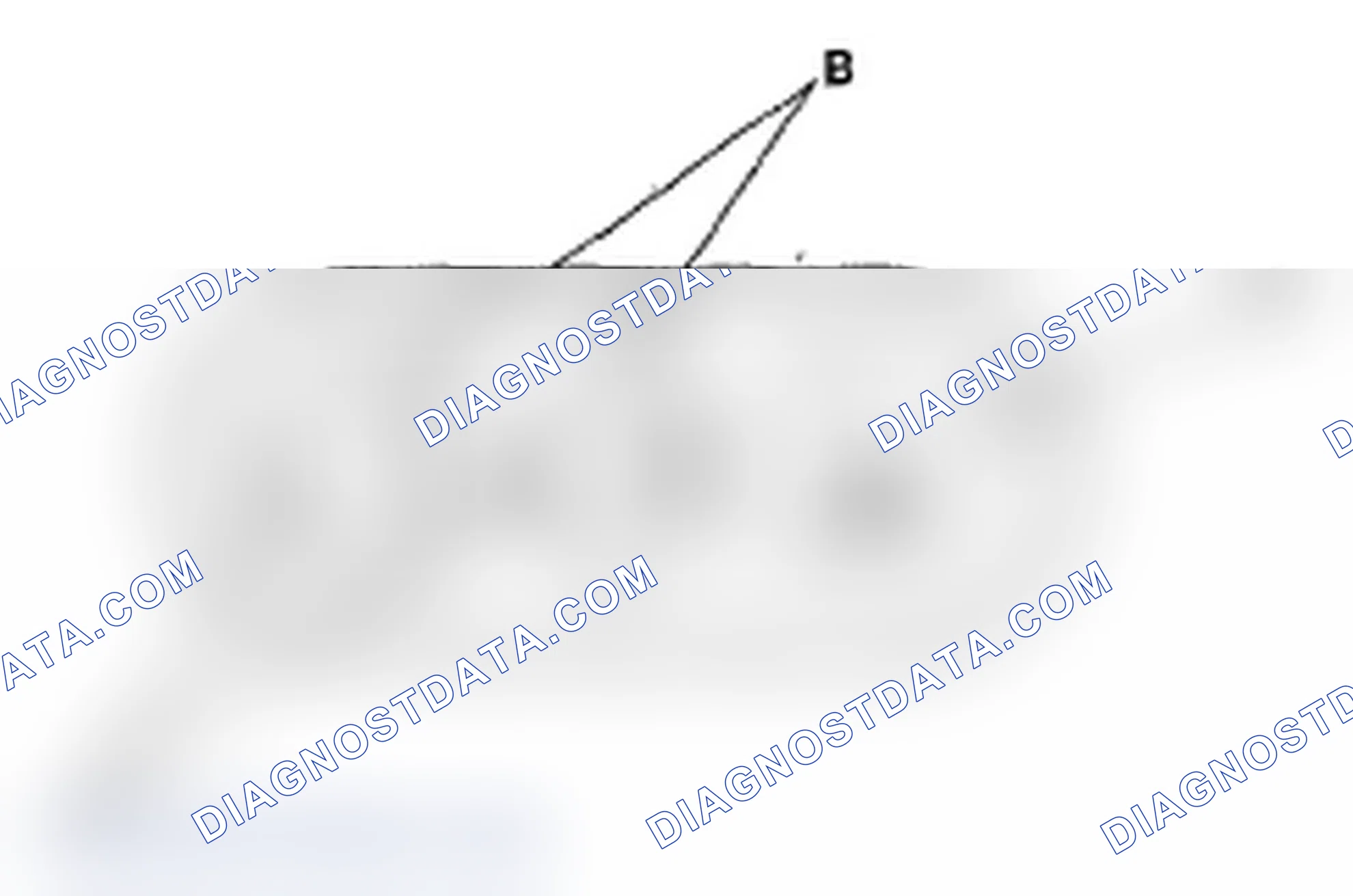 Scheme 4: Displaying the Diagnostic Trouble Code (DTC)