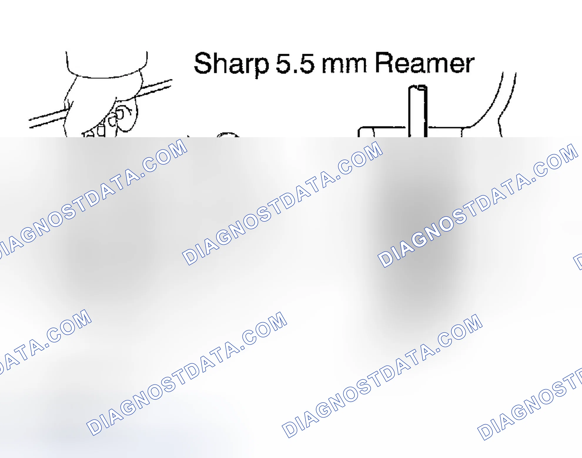 Scheme 146