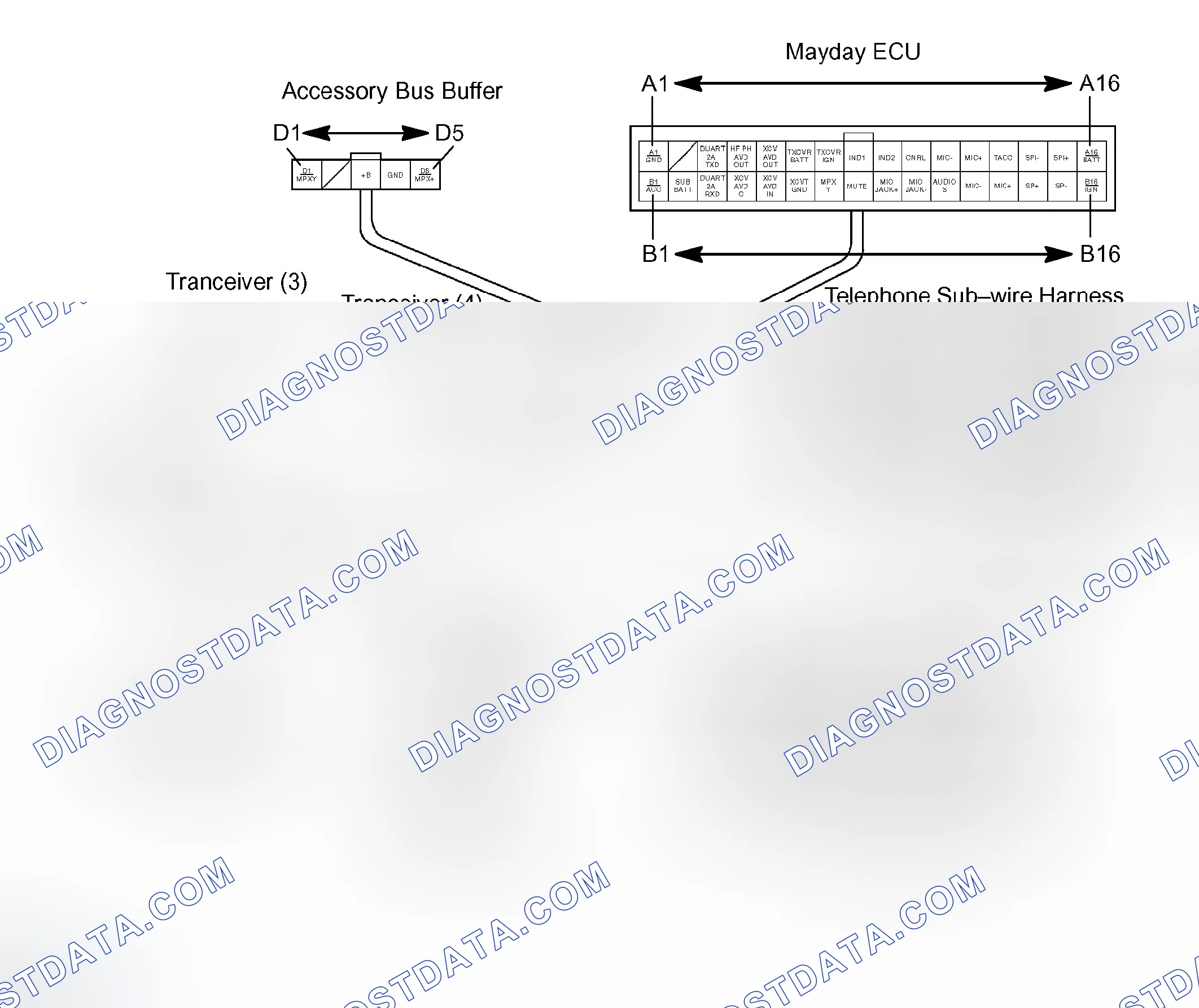 Scheme 45: TERMINALS OF ECU
