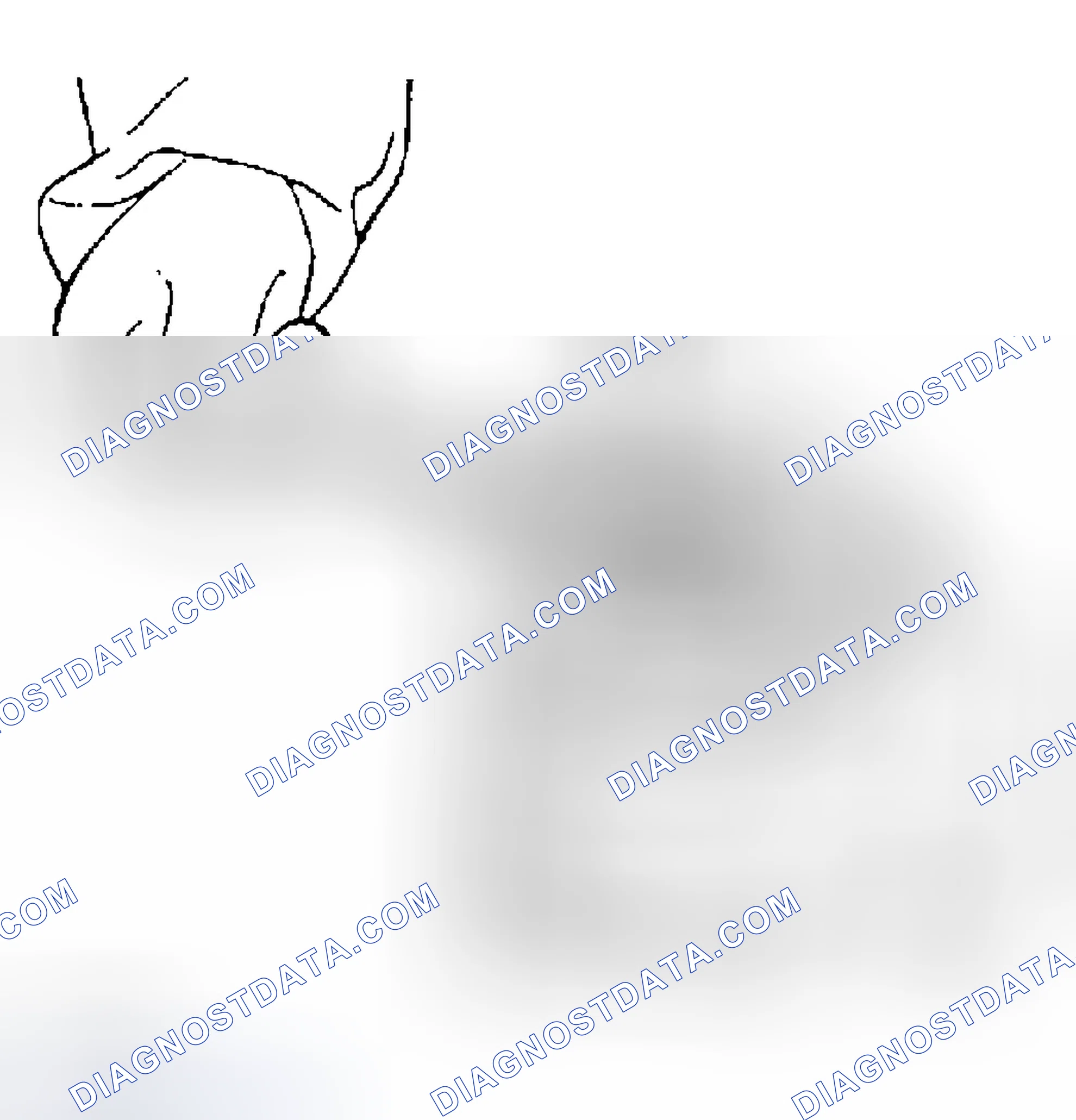Scheme 10: DISASSEMBLY
