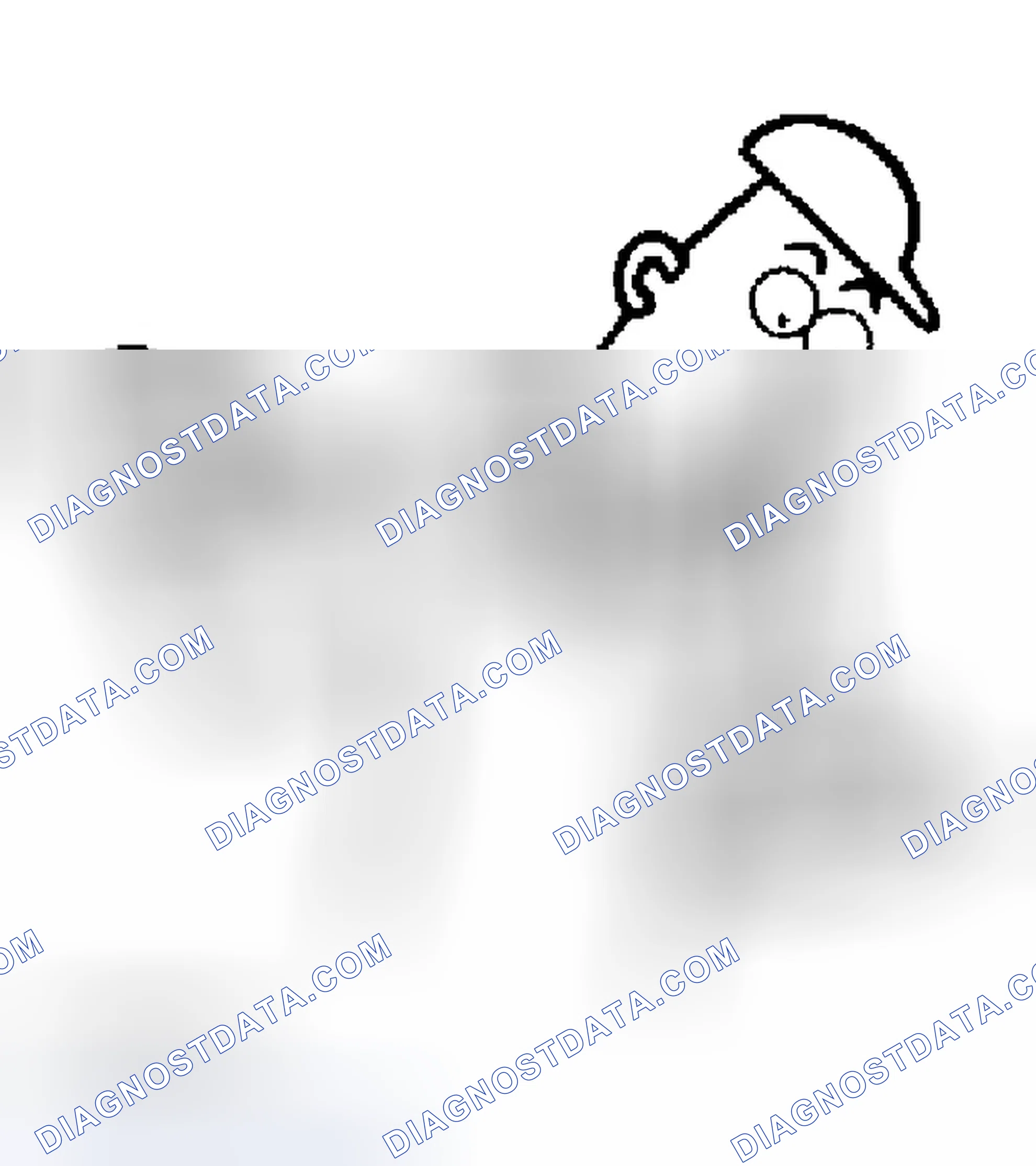 Scheme 605: DIAGNOSTIC PROCEDURE