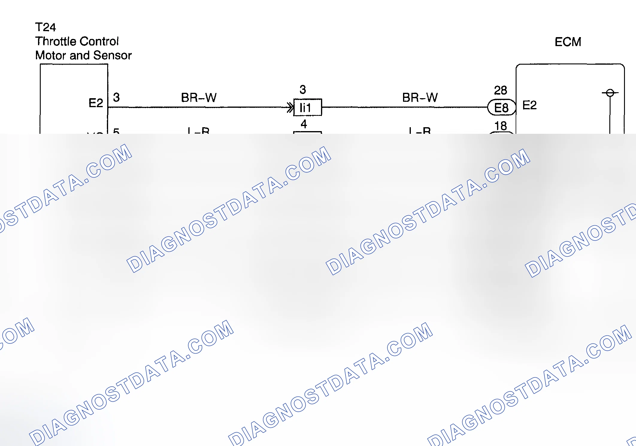 Scheme 507: WIRING DIAGRAM