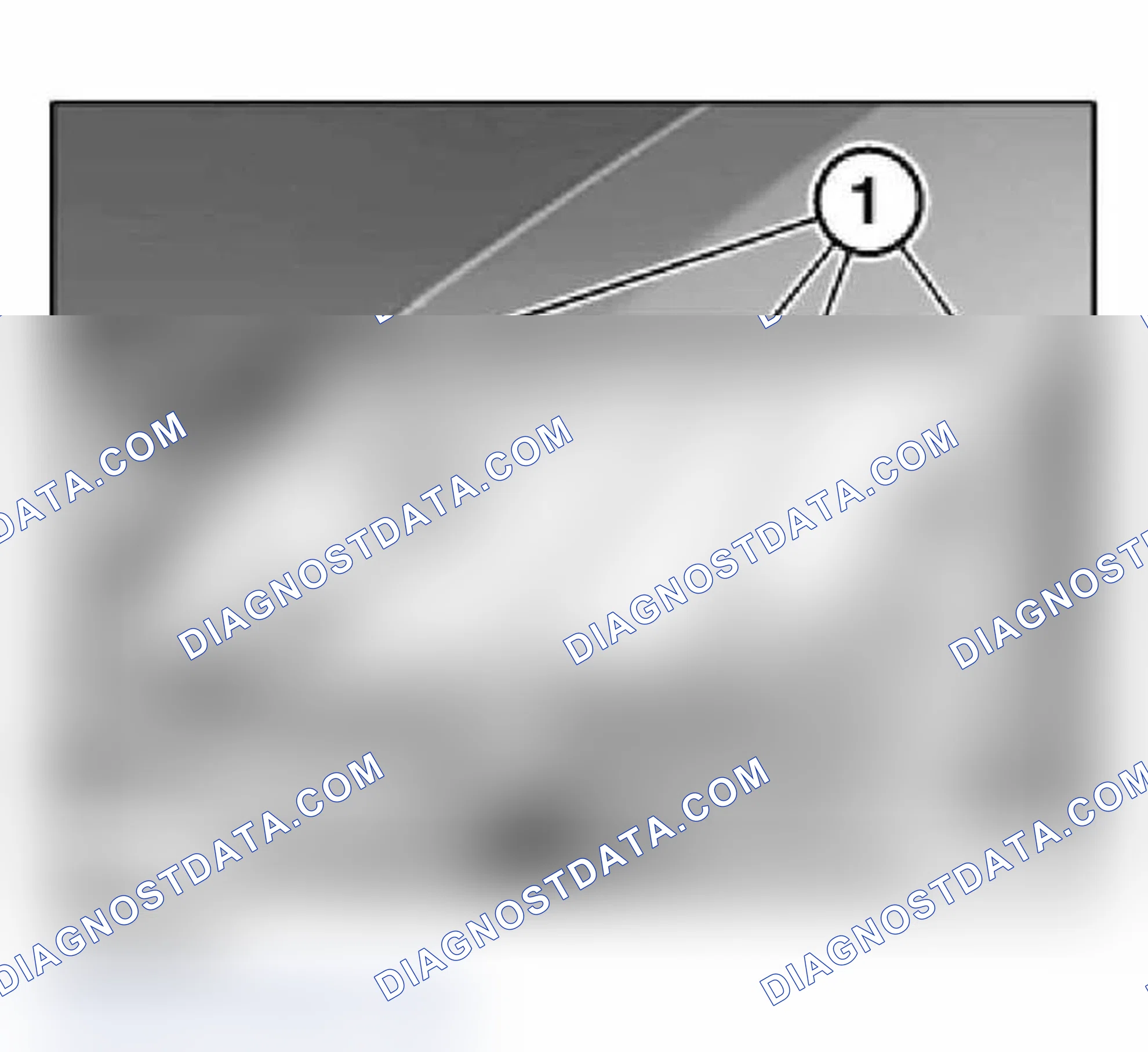 Scheme 5