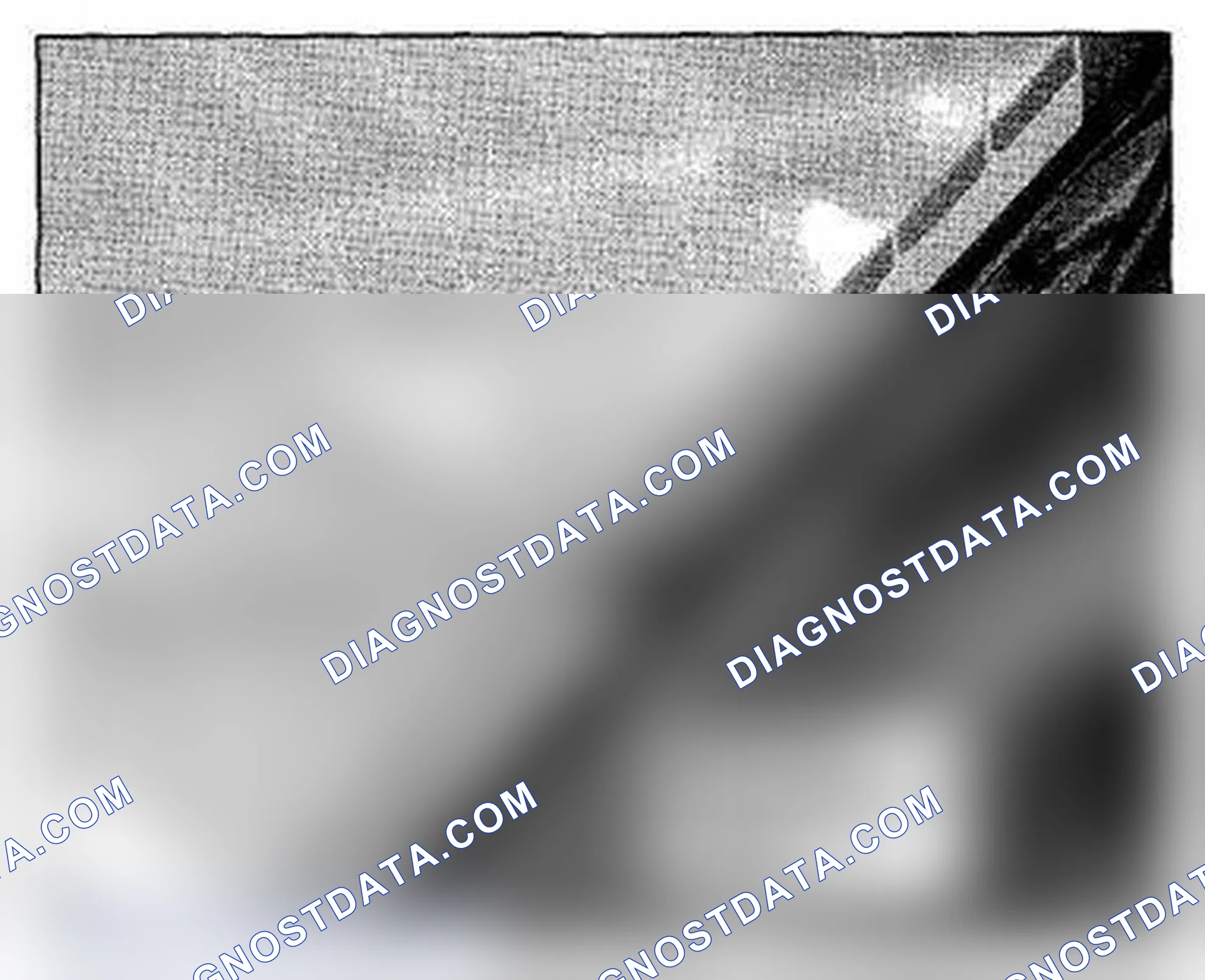 Scheme 647: Right Side Of Tailgate Components Location (Photo 242)