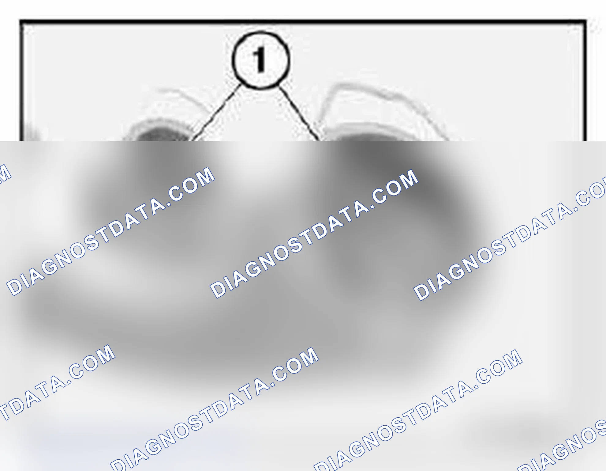 Scheme 8
