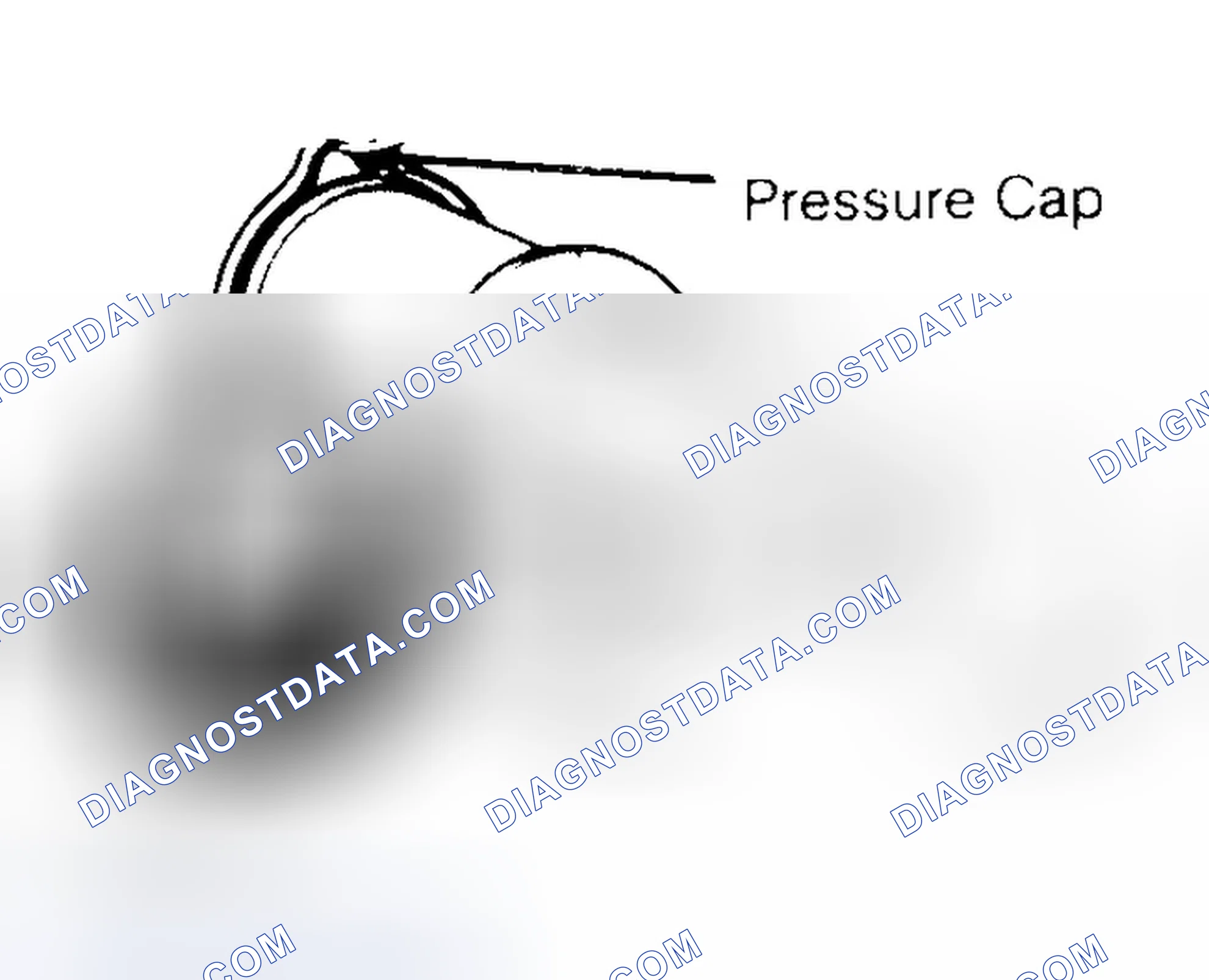 Scheme 2: Pressure Testing Radiator Cap