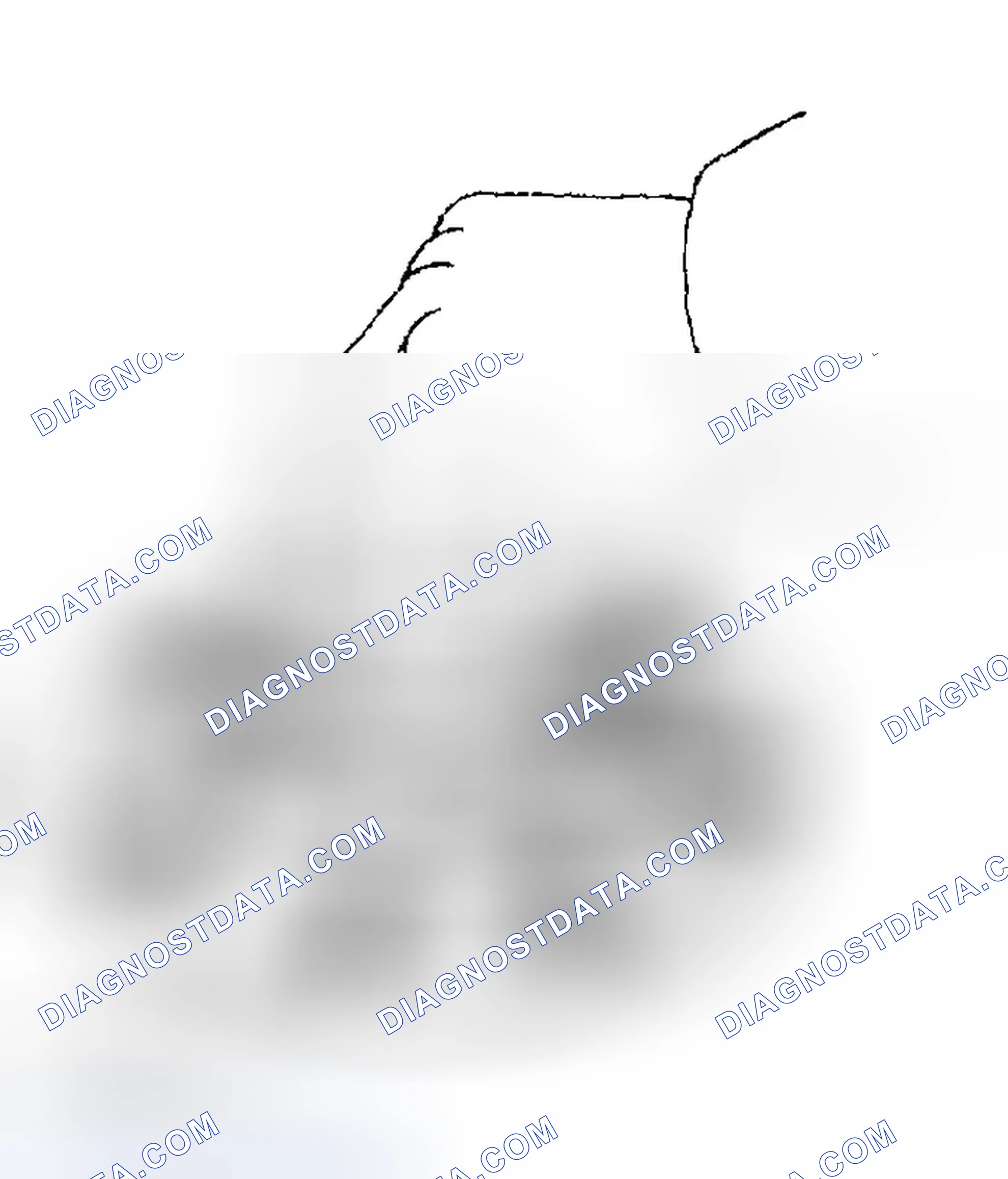 Scheme 63: INSPECTION PROCEDURE