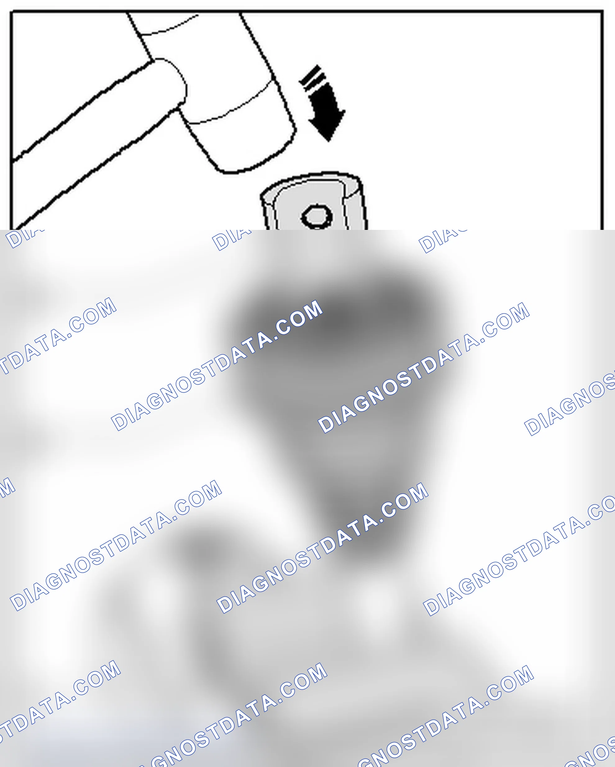 Scheme 339