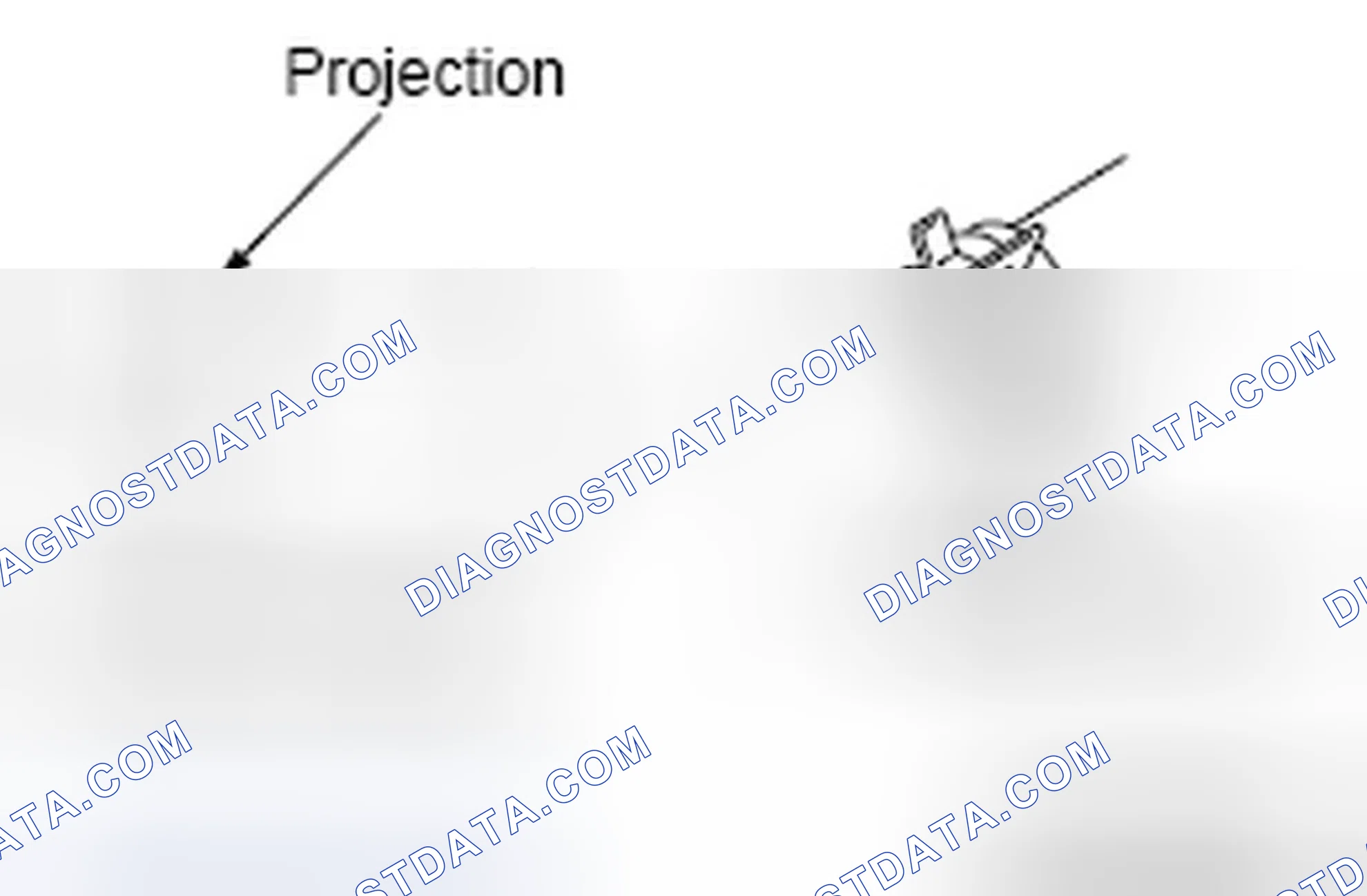 Scheme 19: B << RADIATOR LOWER HOSE INSTALLATION