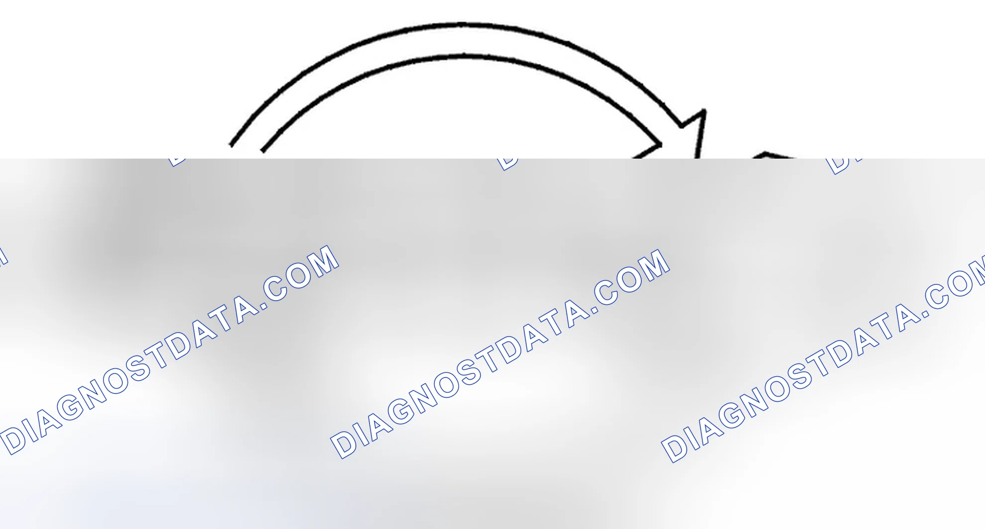 Scheme 26: Diagnostic trouble code (DTC) information