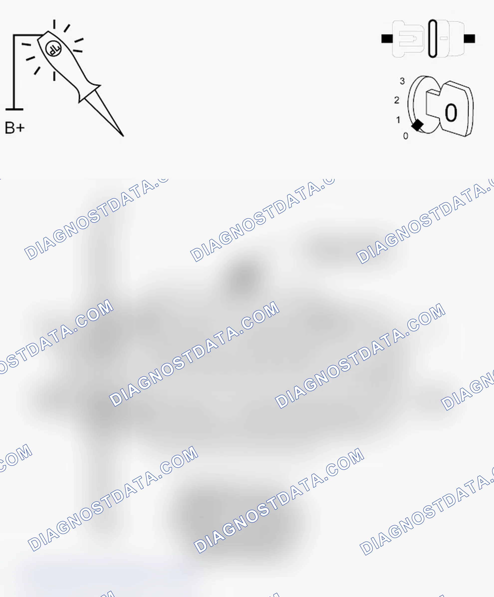 Scheme 13: DIAGNOSTIC TEST
