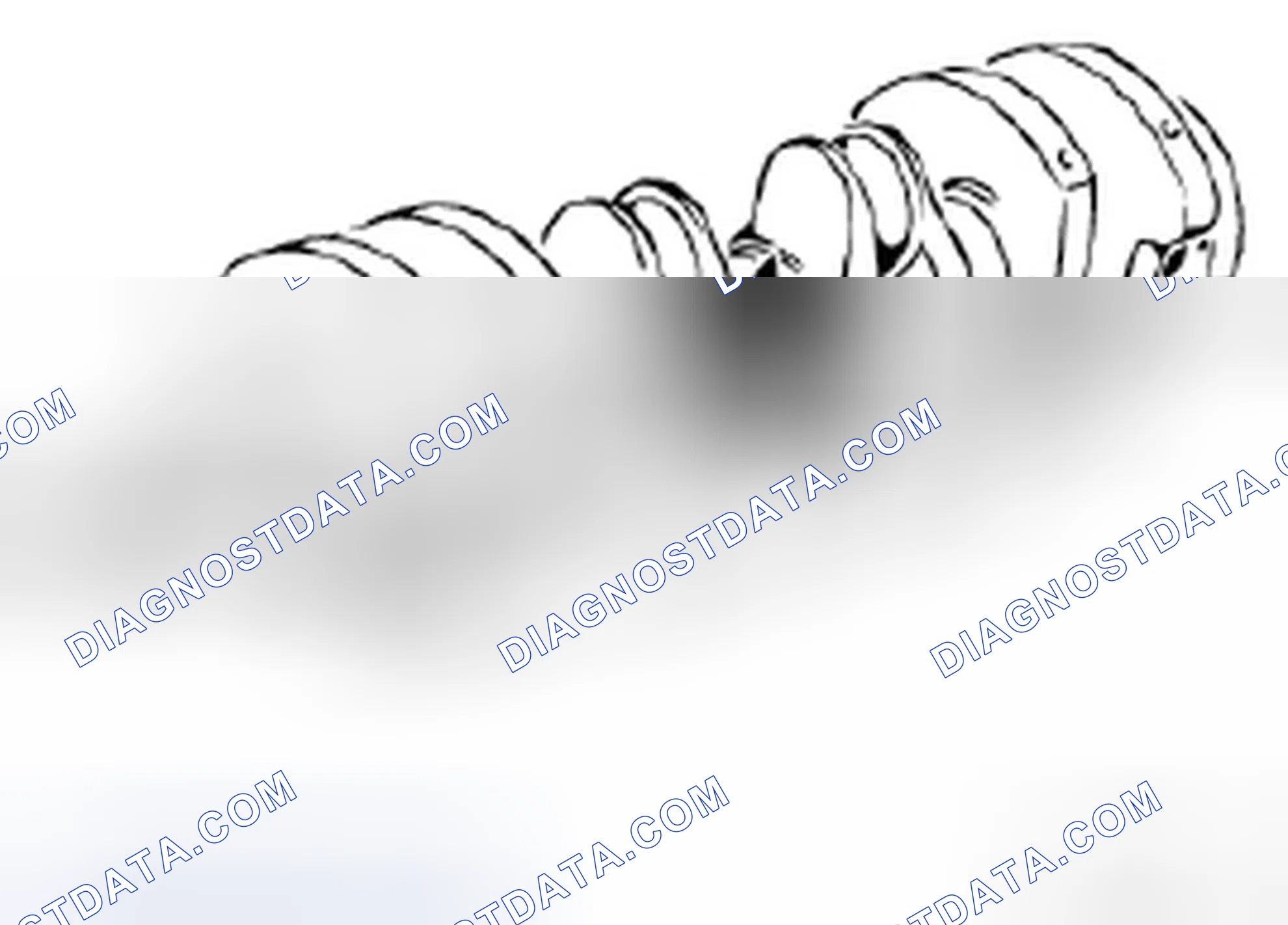 Scheme 216: 11 21 501 Replacing crankshaft - crankshaft removed (M42)