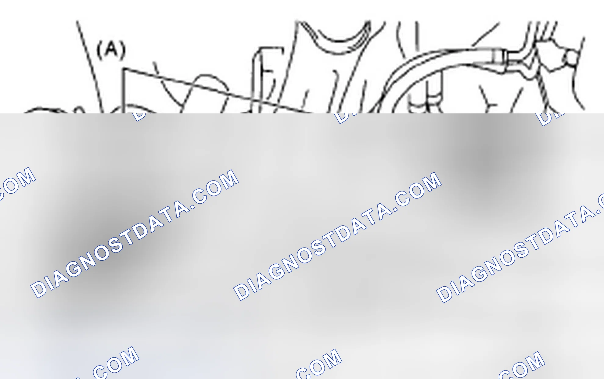 Scheme 66: FRONT AND REAR AXLE BOOTS