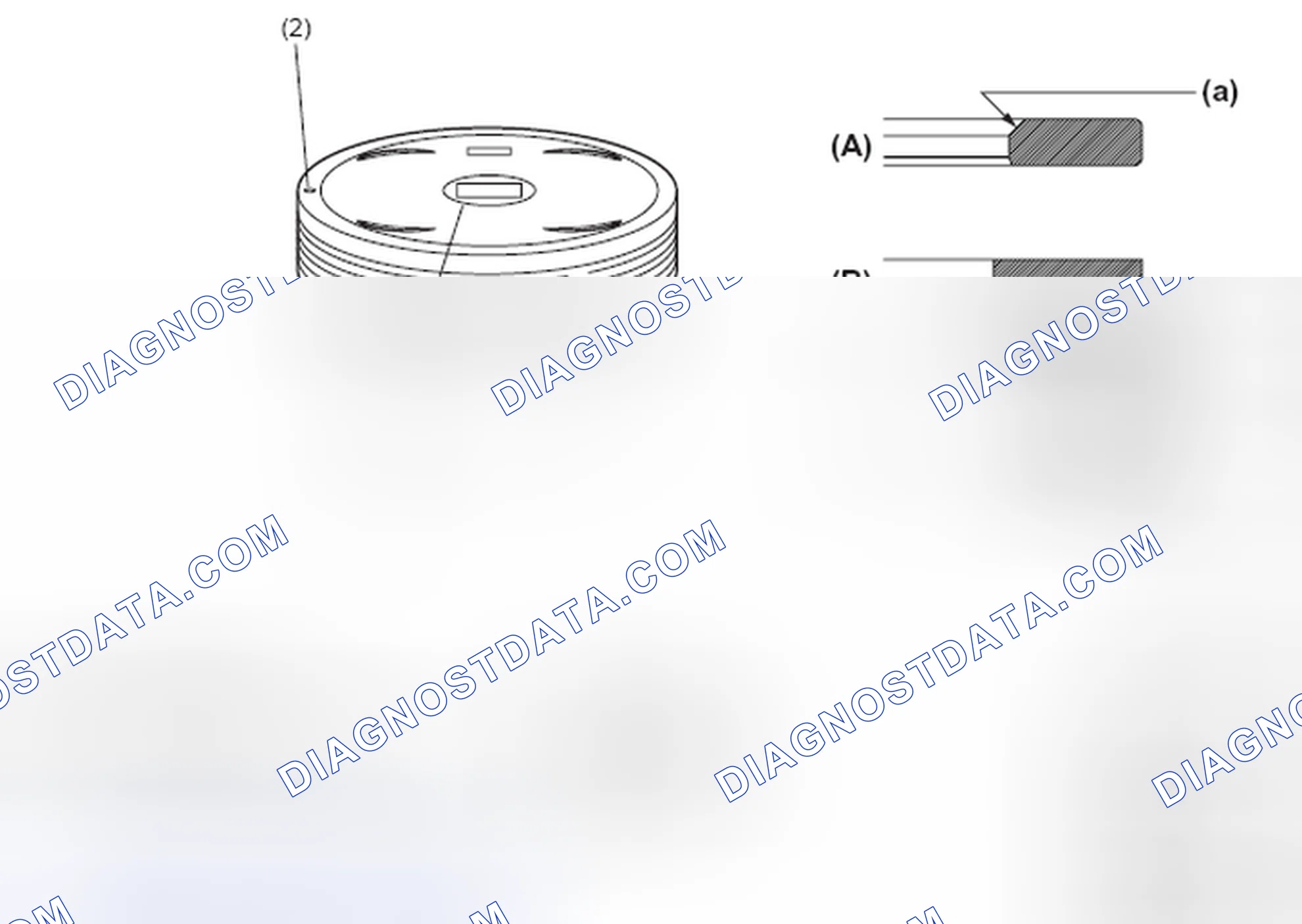 Scheme 64: Piston