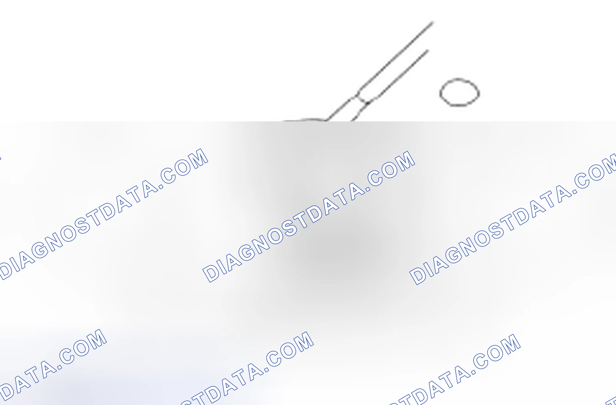 Scheme 588