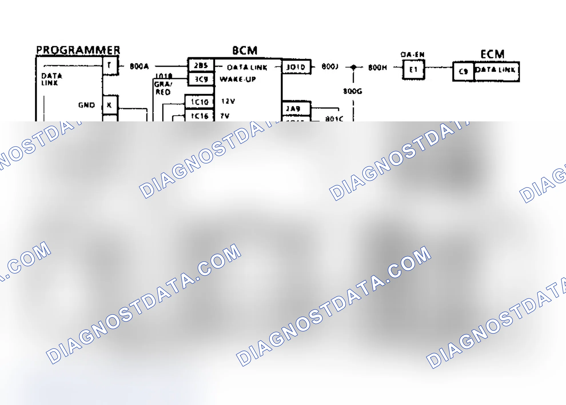 Scheme 395: Flow Chart C2, CCDIC Completely Blank (2 of 2)