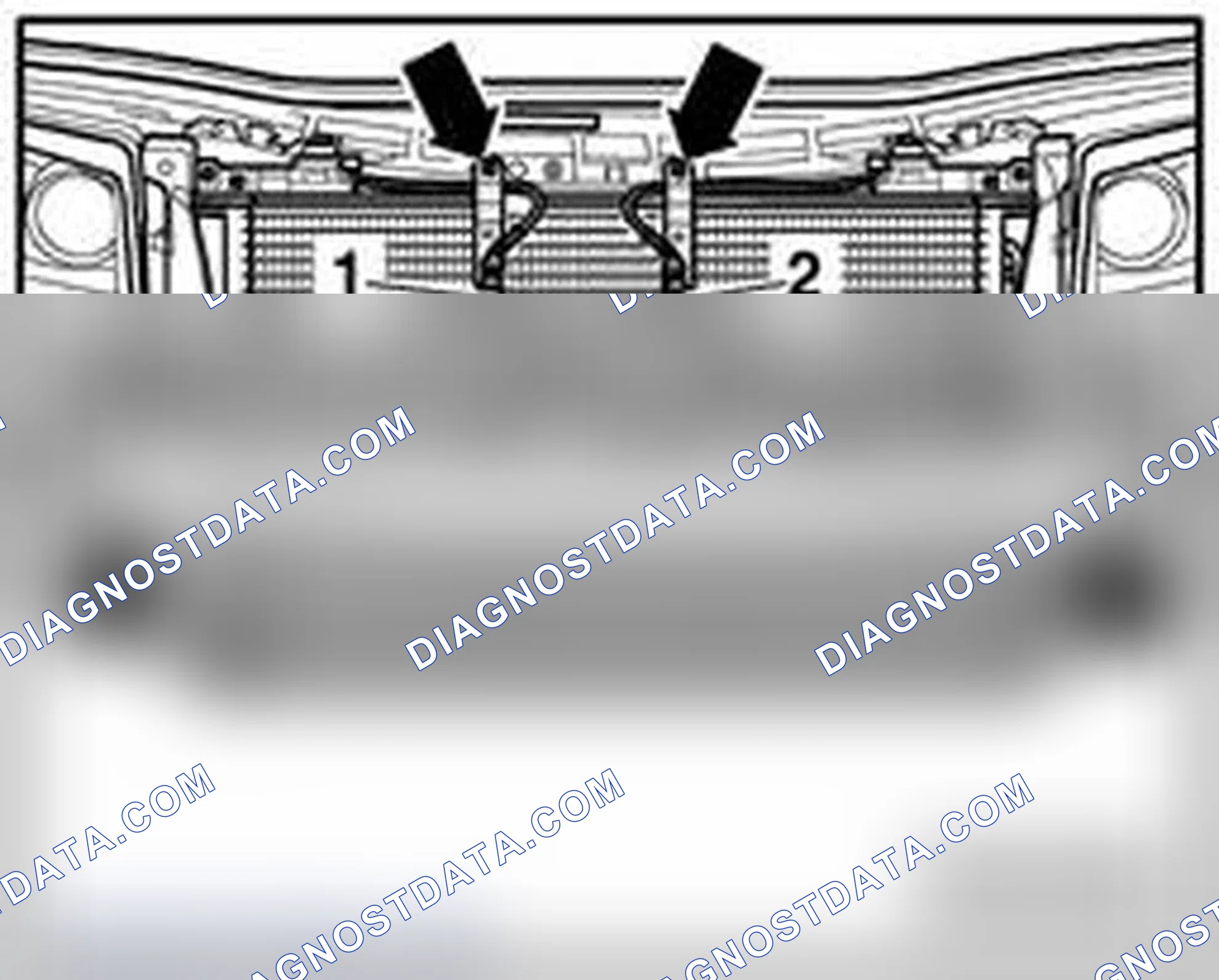 Scheme 335