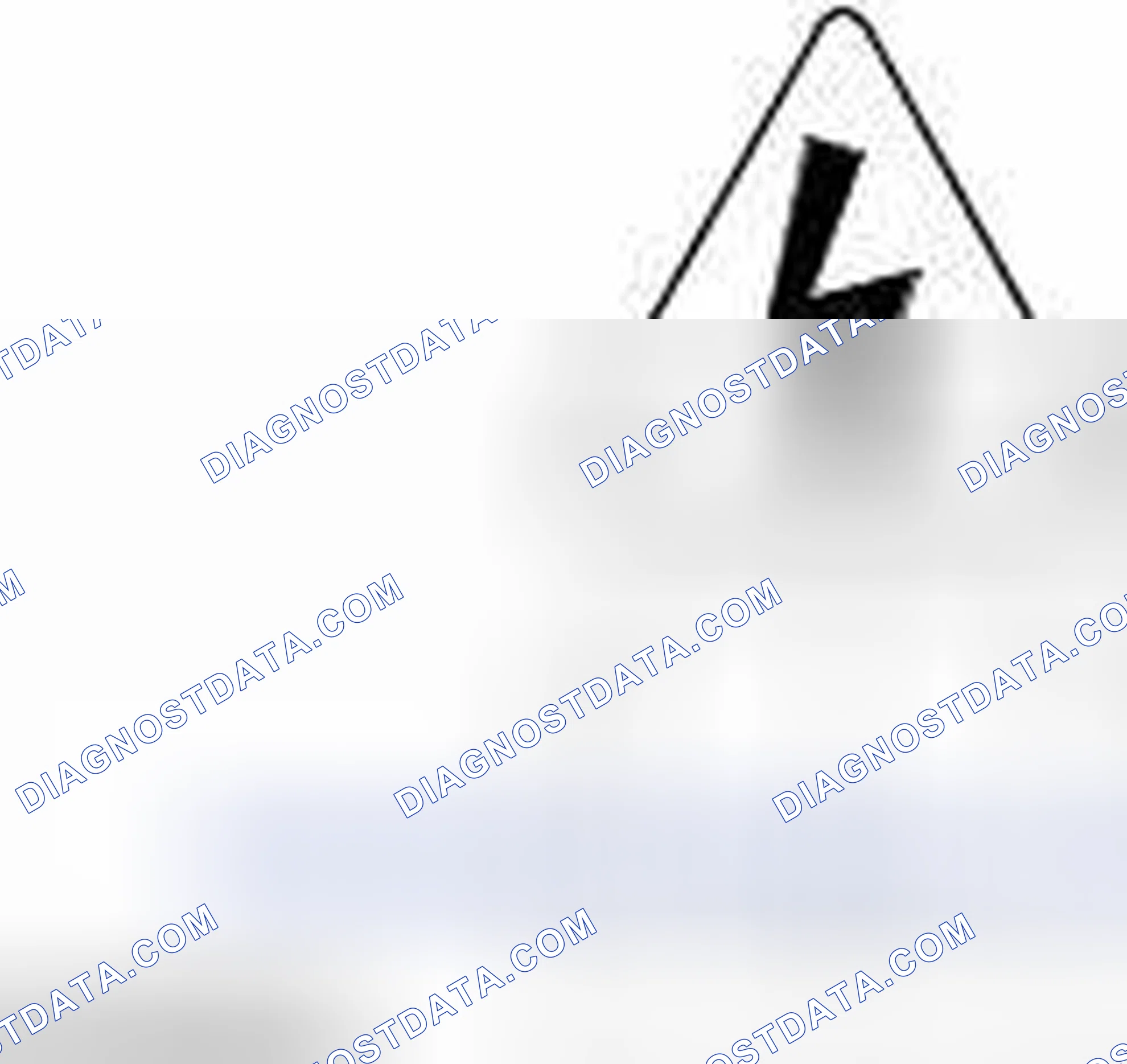 Scheme 2: Warning Symbols on Vehicles