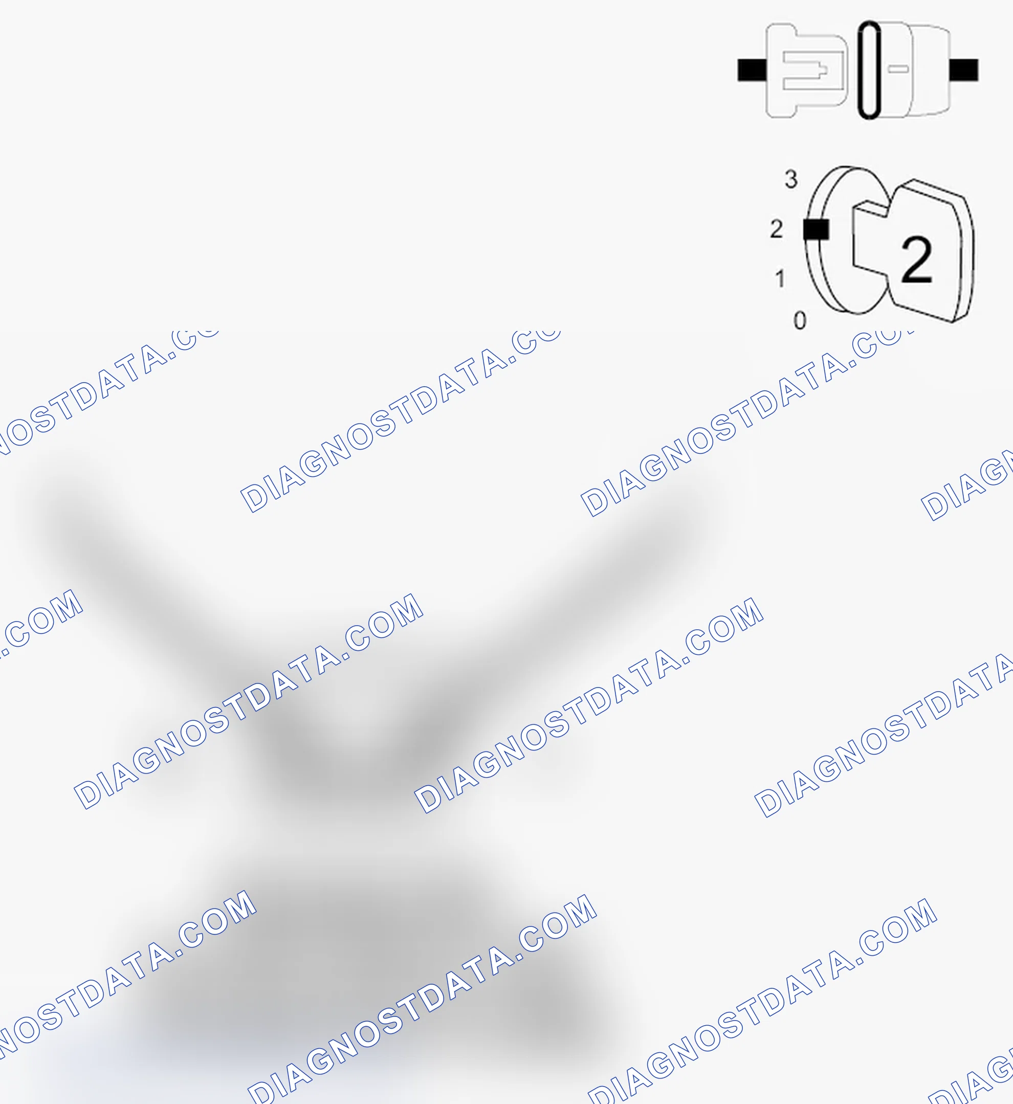 Scheme 5: DIAGNOSTIC TEST