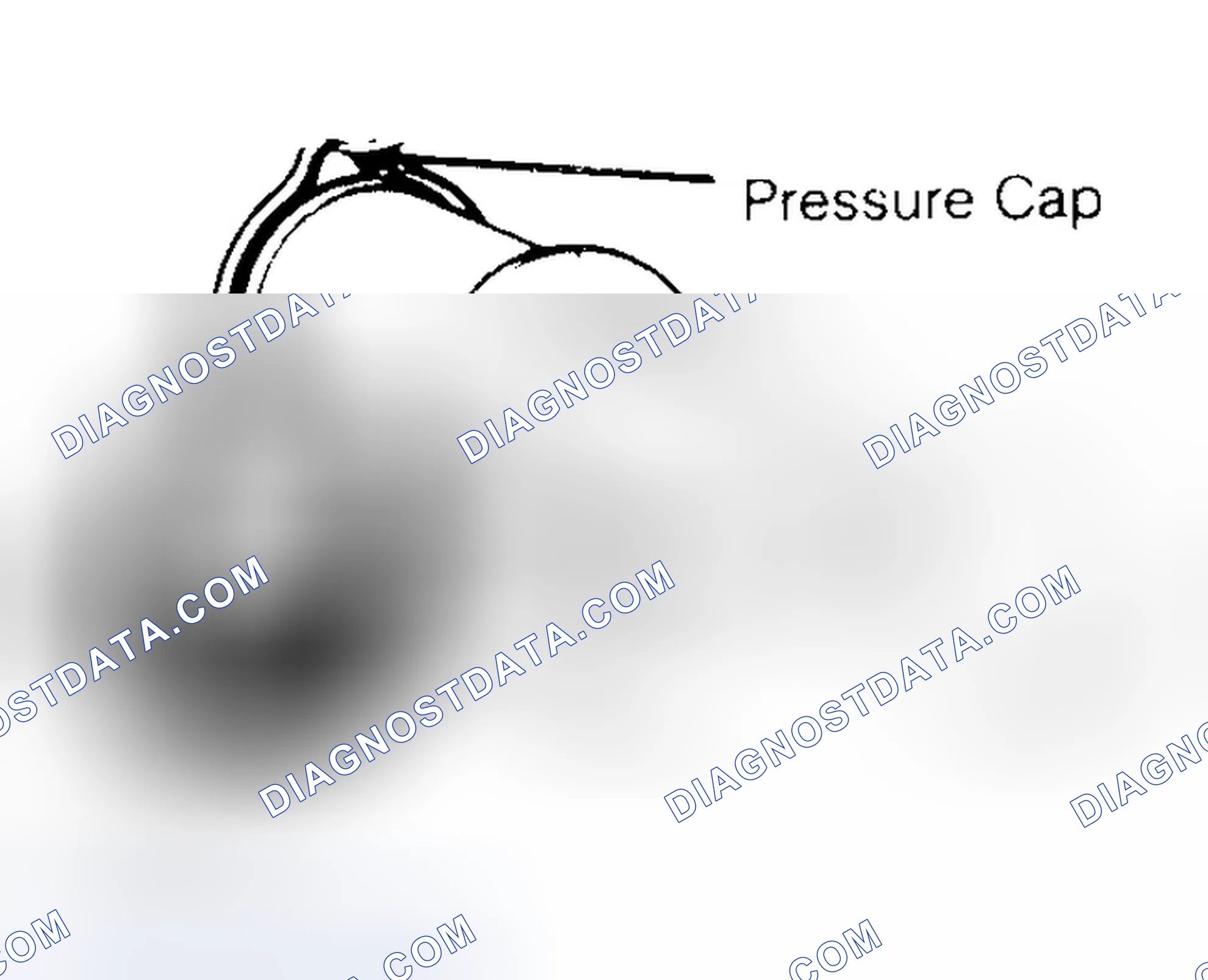 Scheme 2: Pressure Testing Radiator Cap