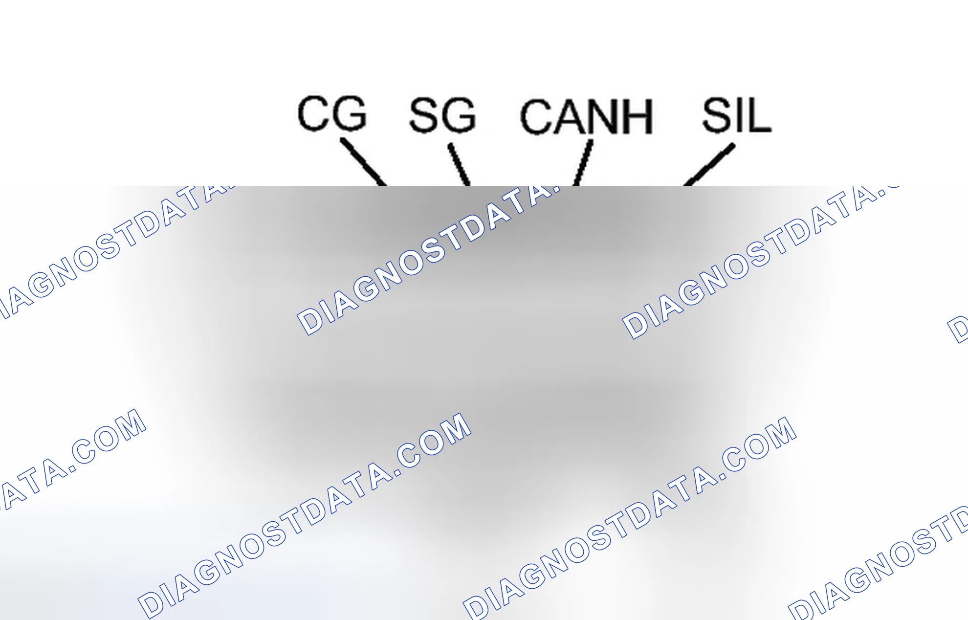 Scheme 4: DIAGNOSIS SYSTEM
