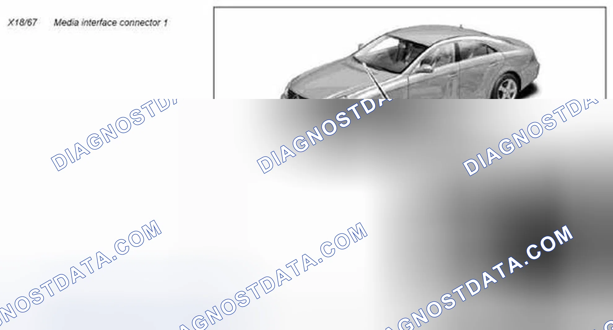 Scheme 258