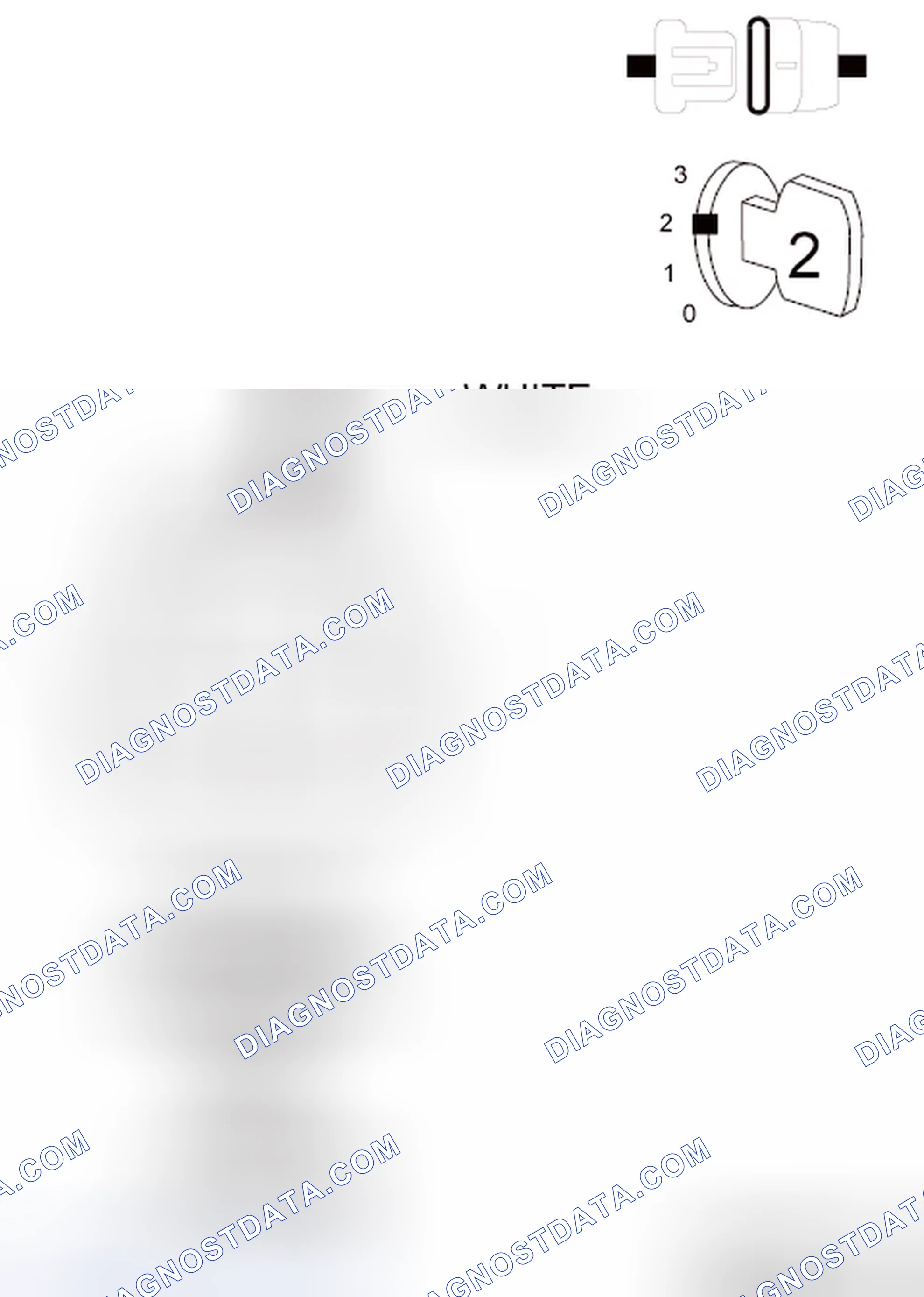 Scheme 38: Diagnostic Test