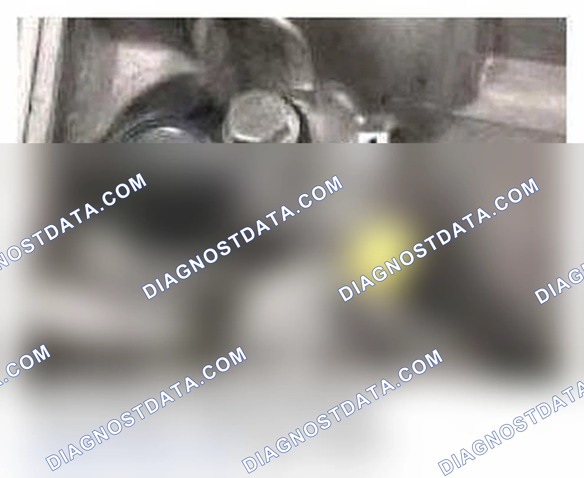 Scheme 165: Transmission Secondary Speed Sensor (ECVT Models only)