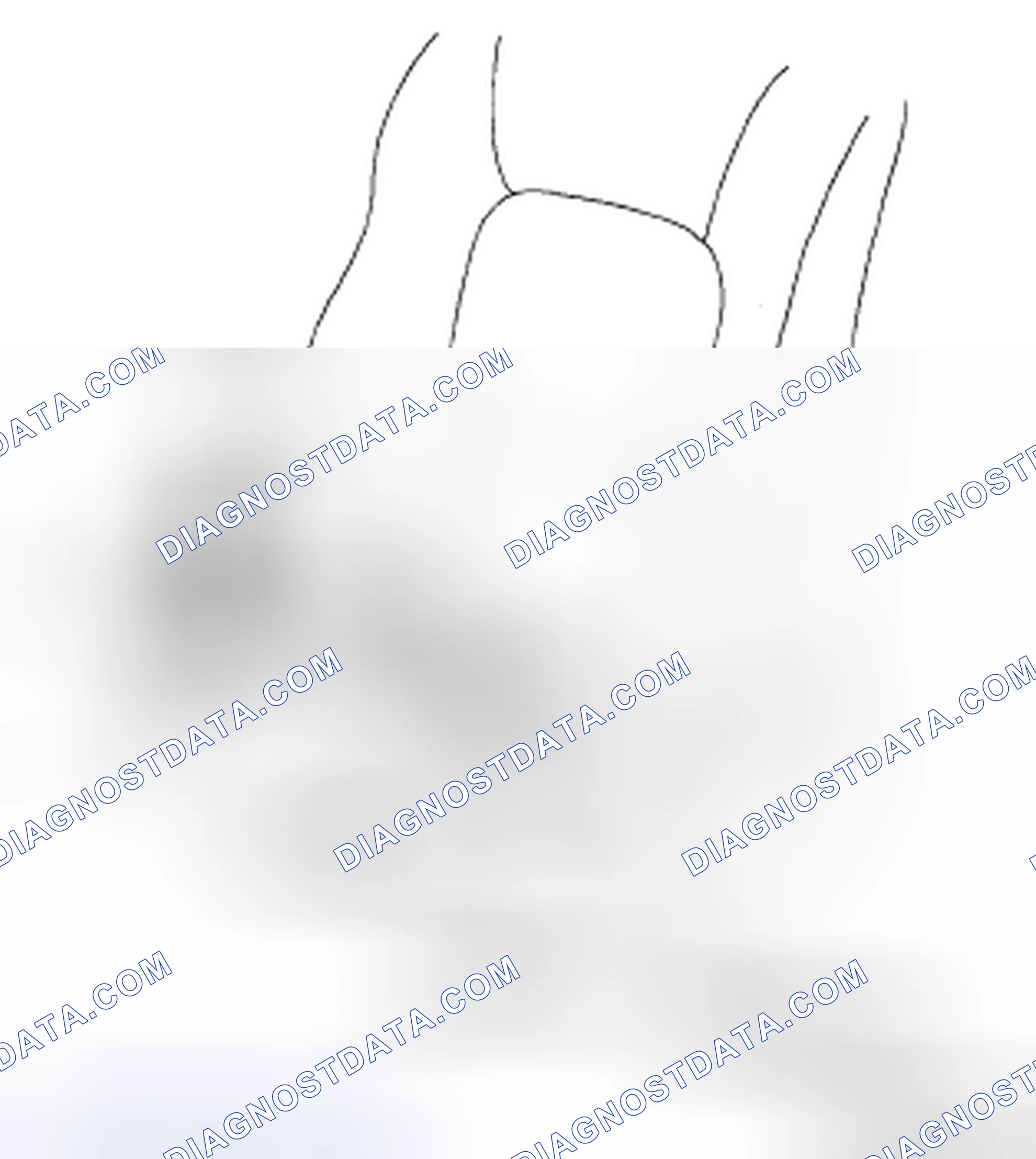 Scheme 8: SEAT WARMER UNIT INSPECTION