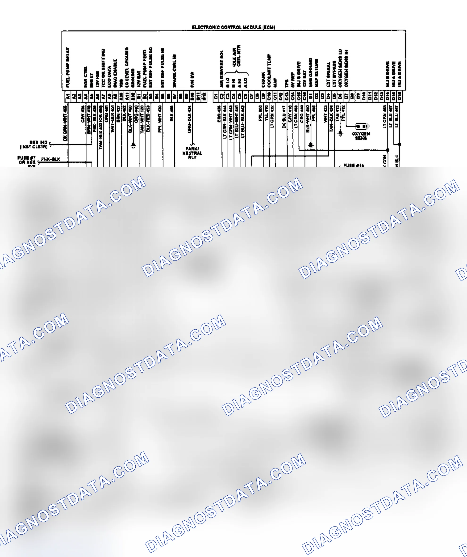 Scheme 7: "P" Series Wiring Diagram
