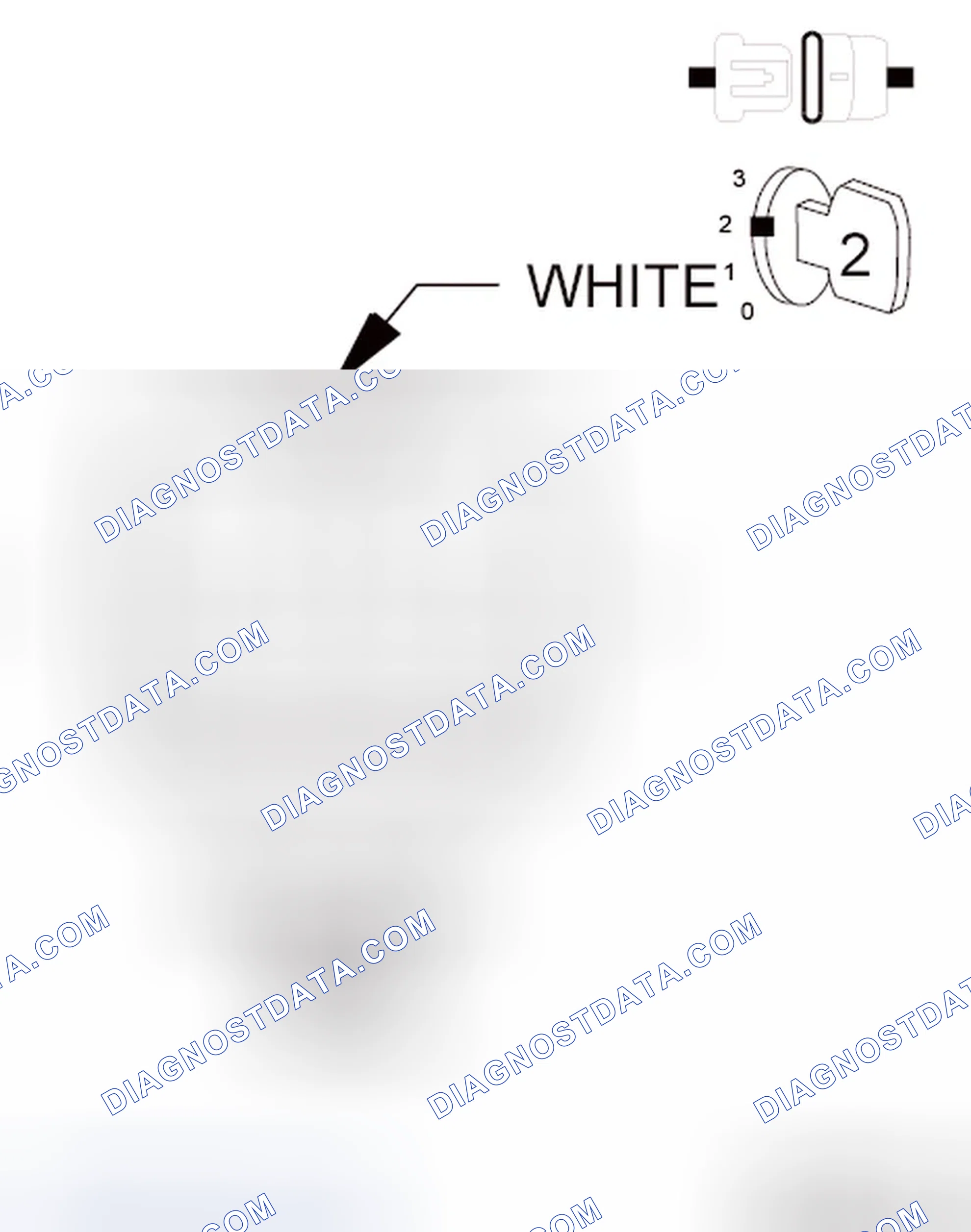 Scheme 103: Diagnostic Test