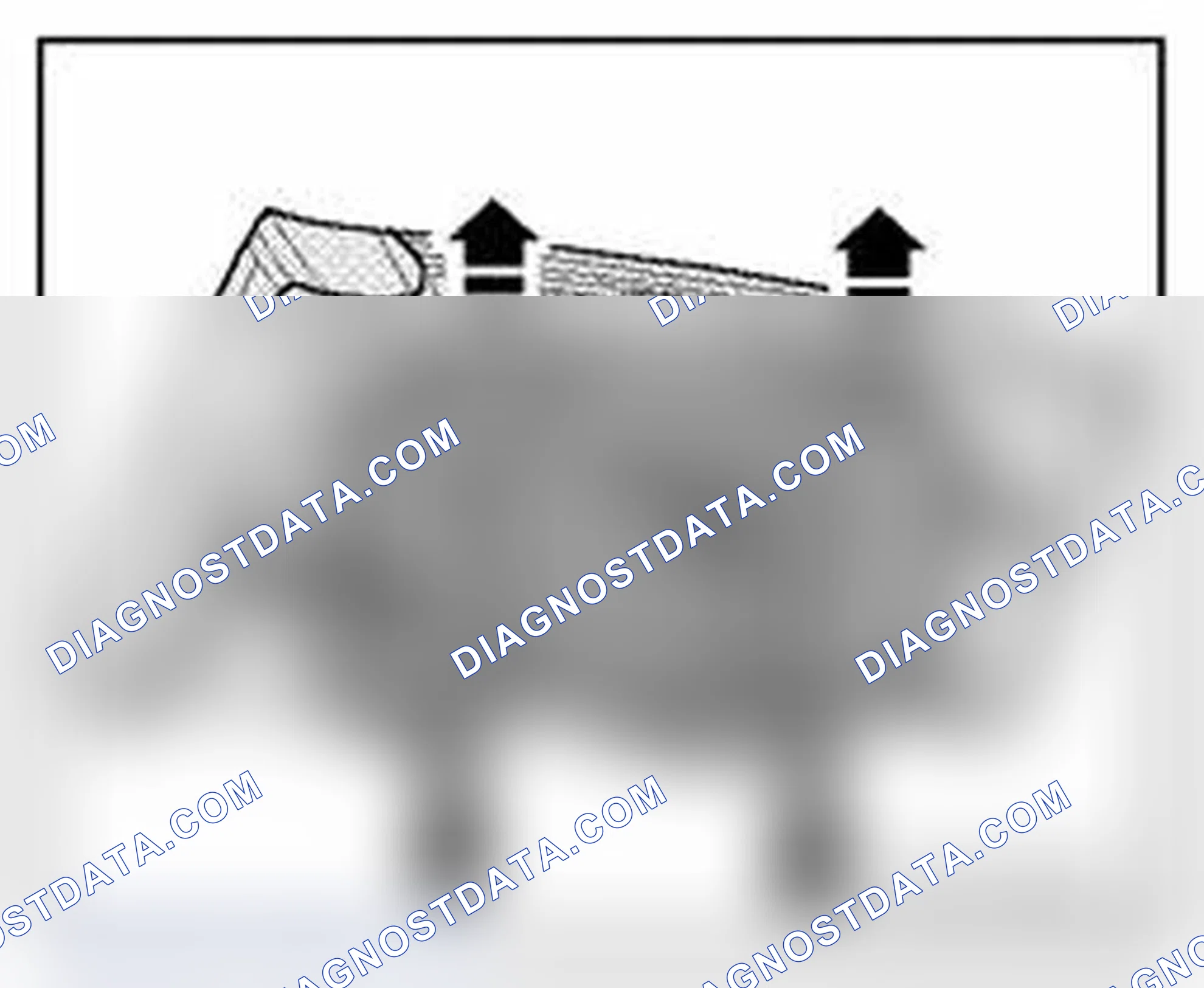 Scheme 209