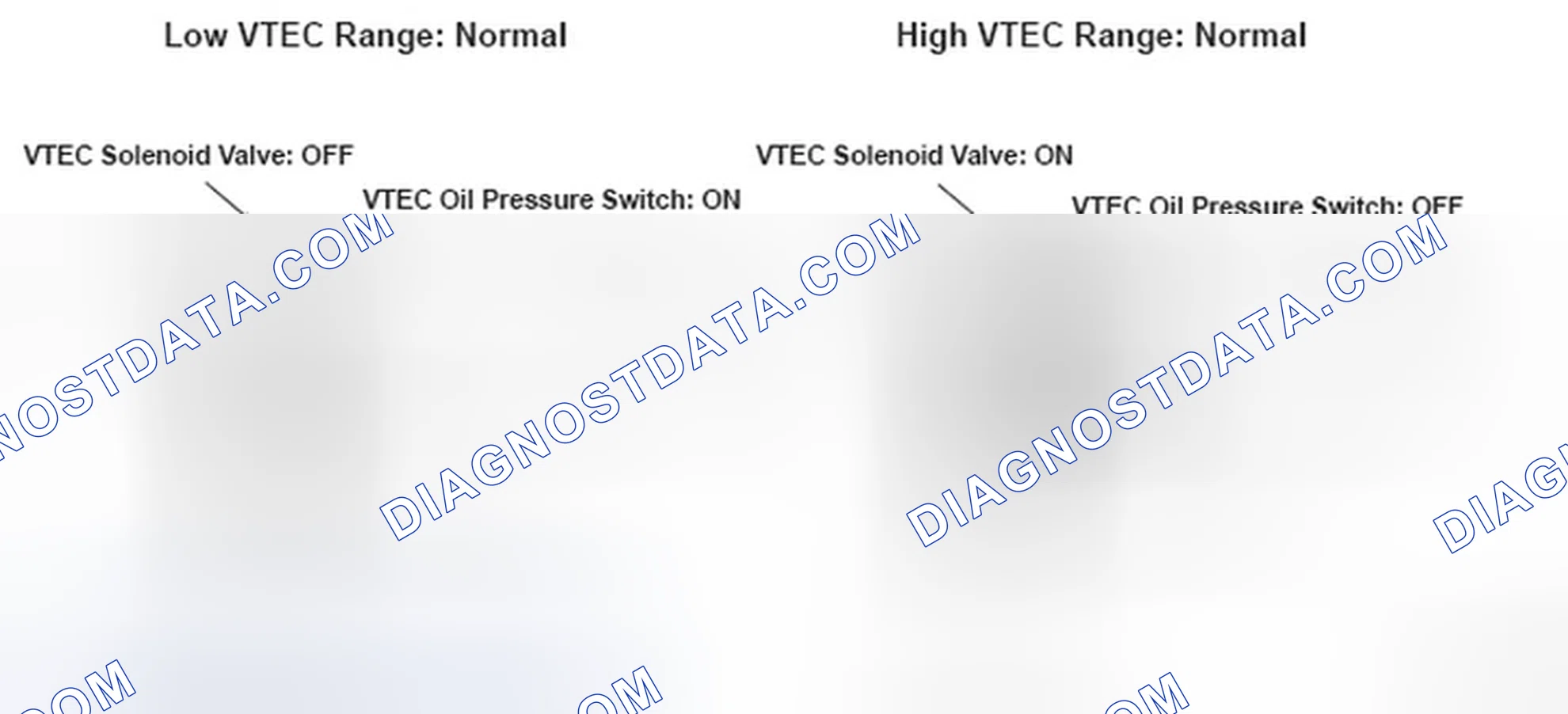 Scheme 316: VTEC Oil Pressure Switch - Circuit Diagram