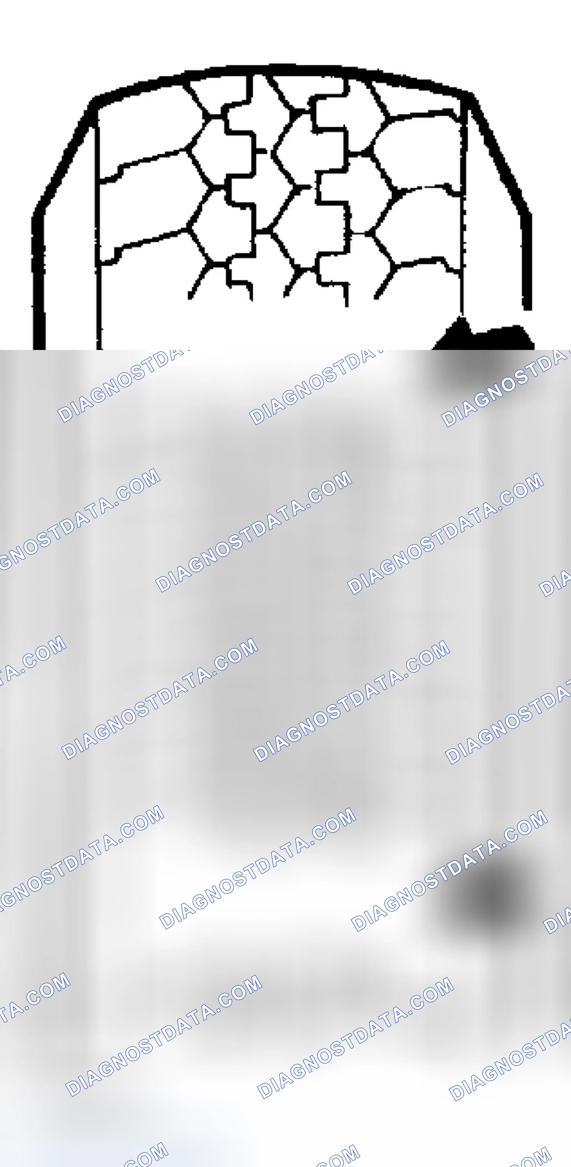 Scheme 12: TIRE WEAR