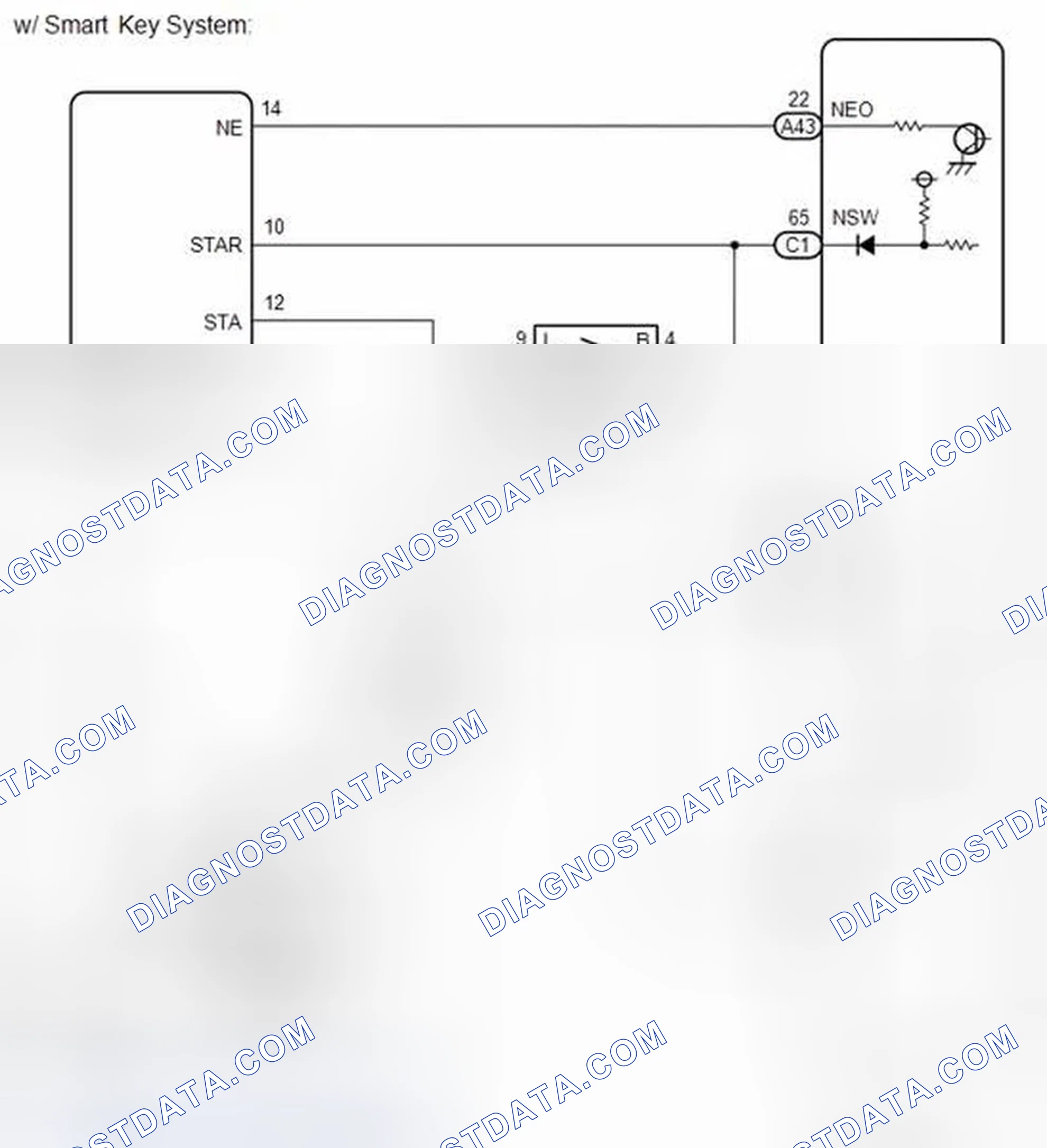 Scheme 439: WIRING DIAGRAM