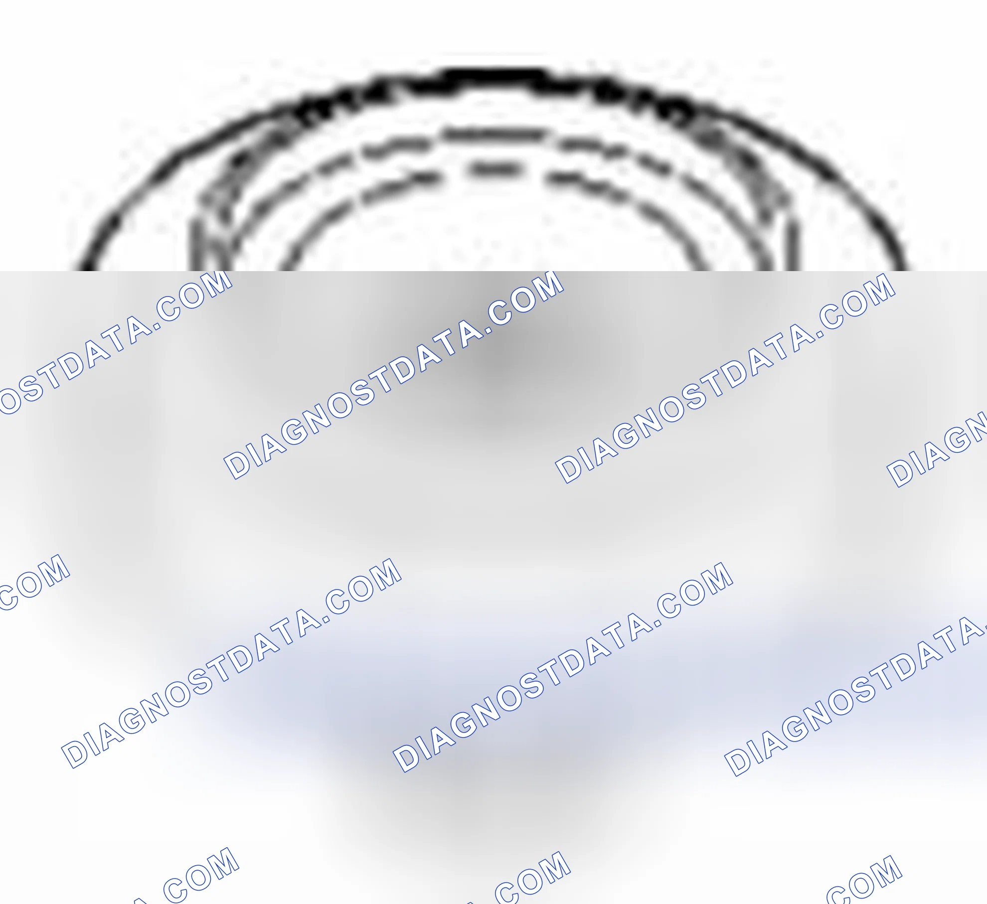 Scheme 310: Camshaft Seal