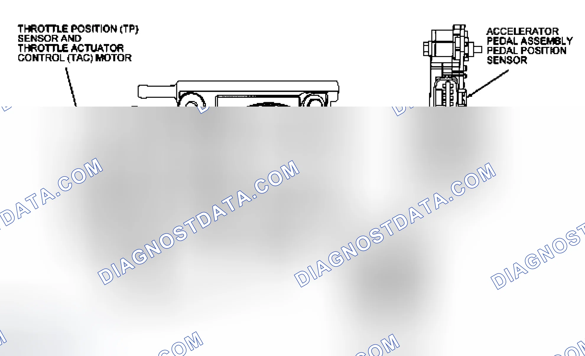Scheme 189: Accelerator Pedal Position (APP) Sensors