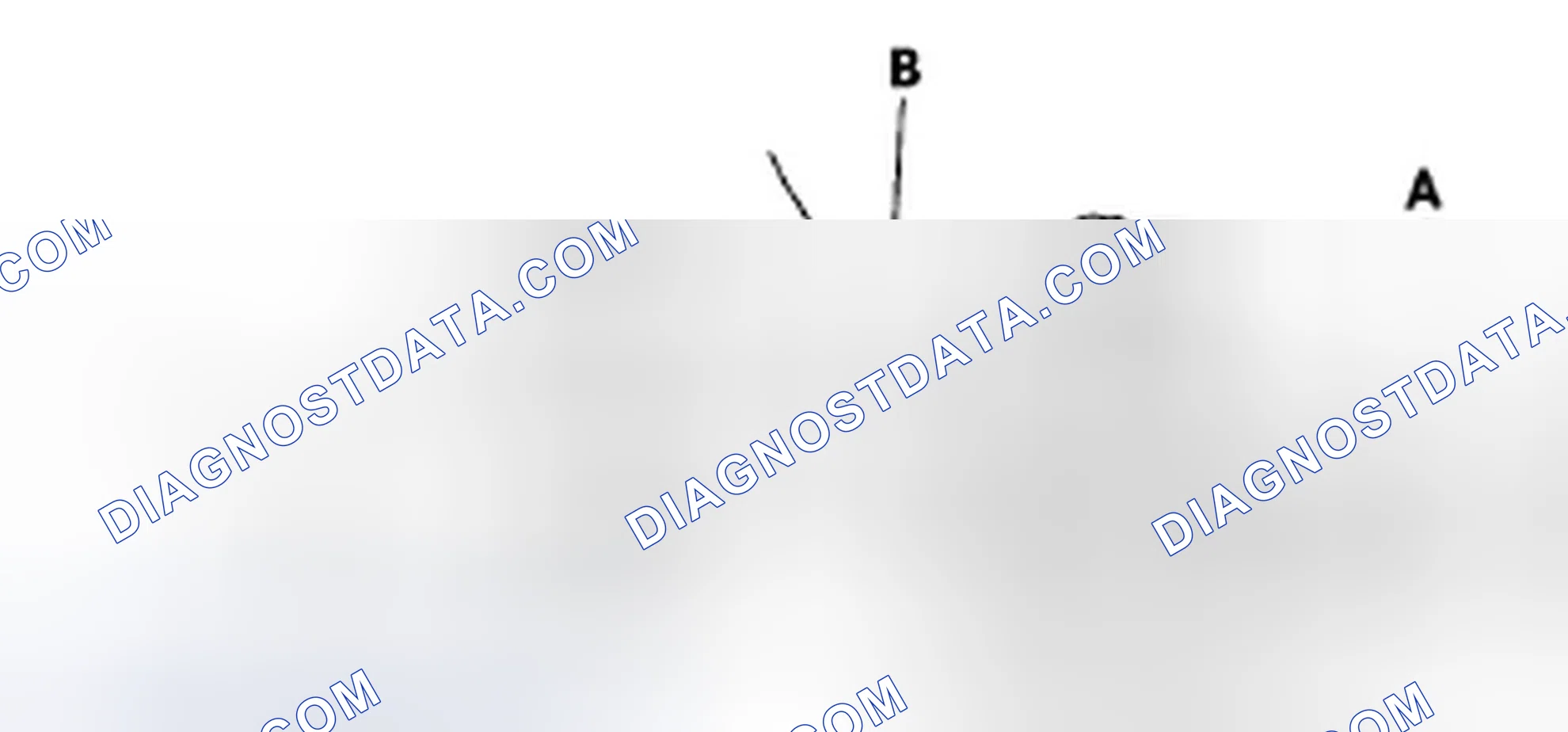 Scheme 38: Radiator Cap Test