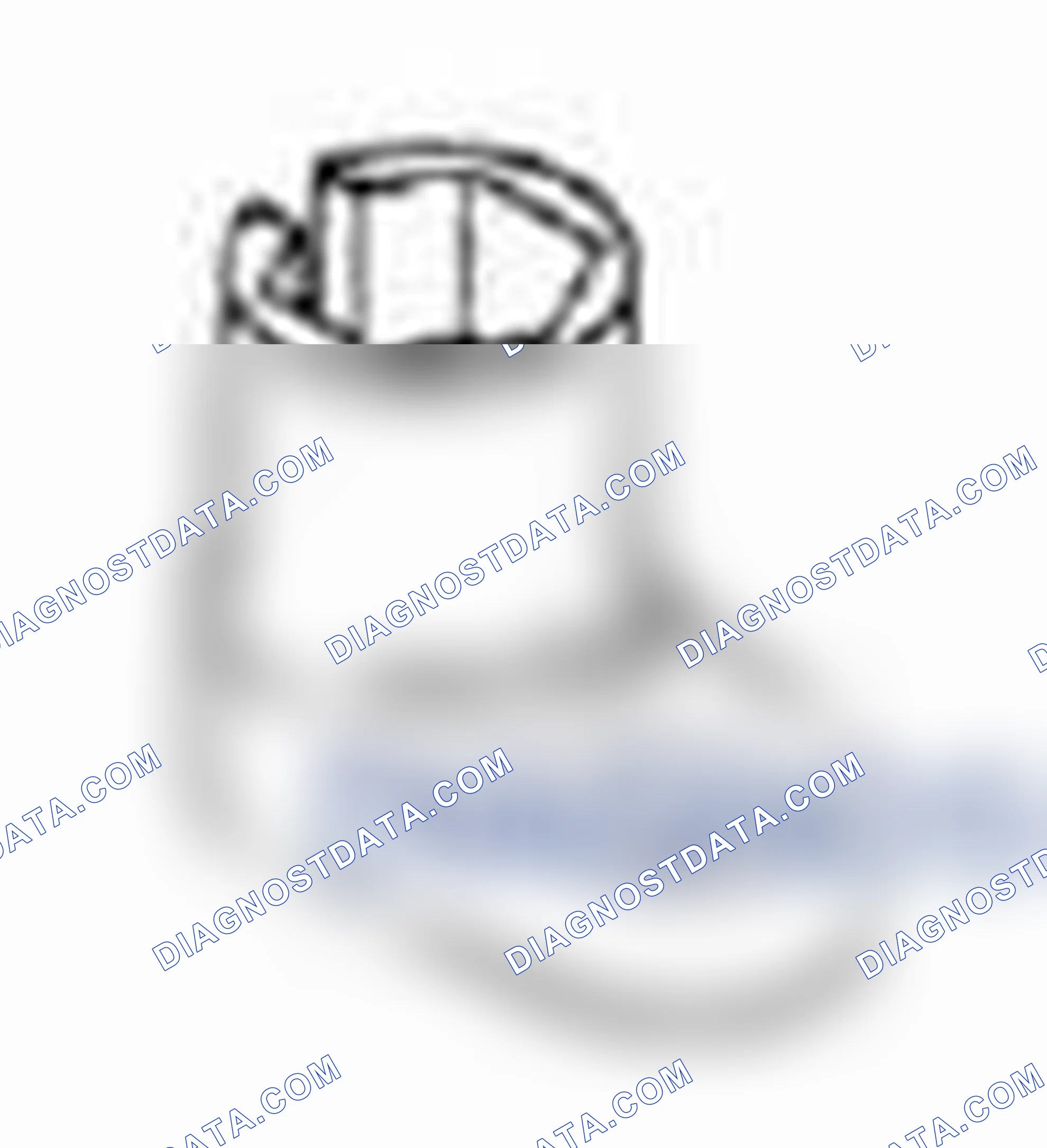 Scheme 18: Heated Oxygen Sensor (HO2S)