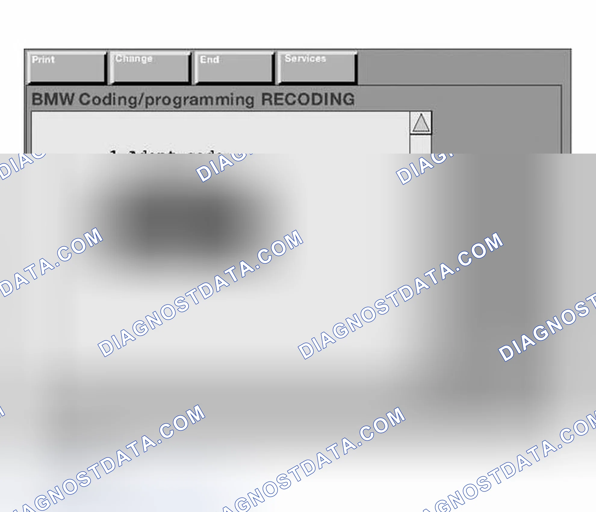 Scheme 95: Manually Entering the Variant Code