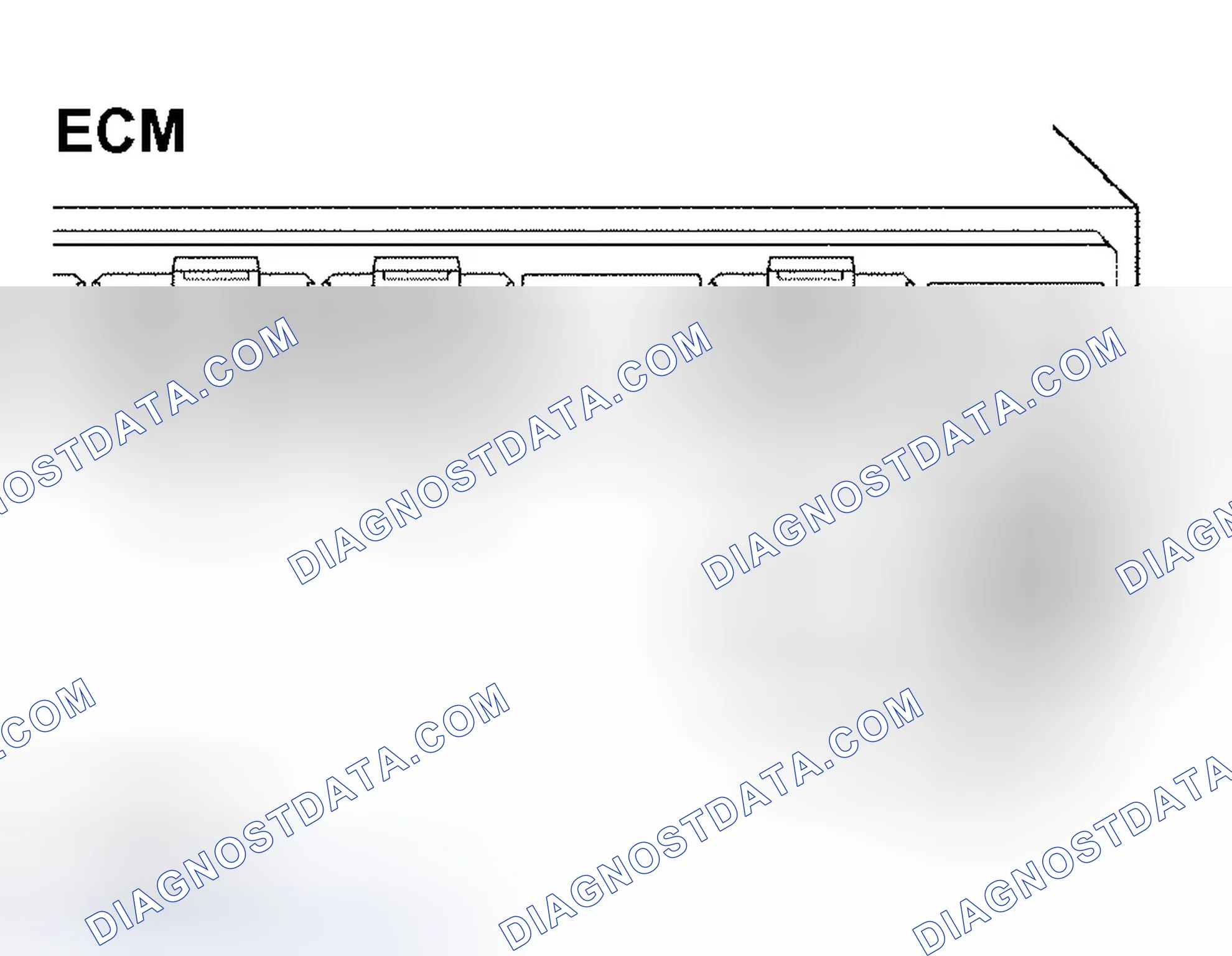 Scheme 519