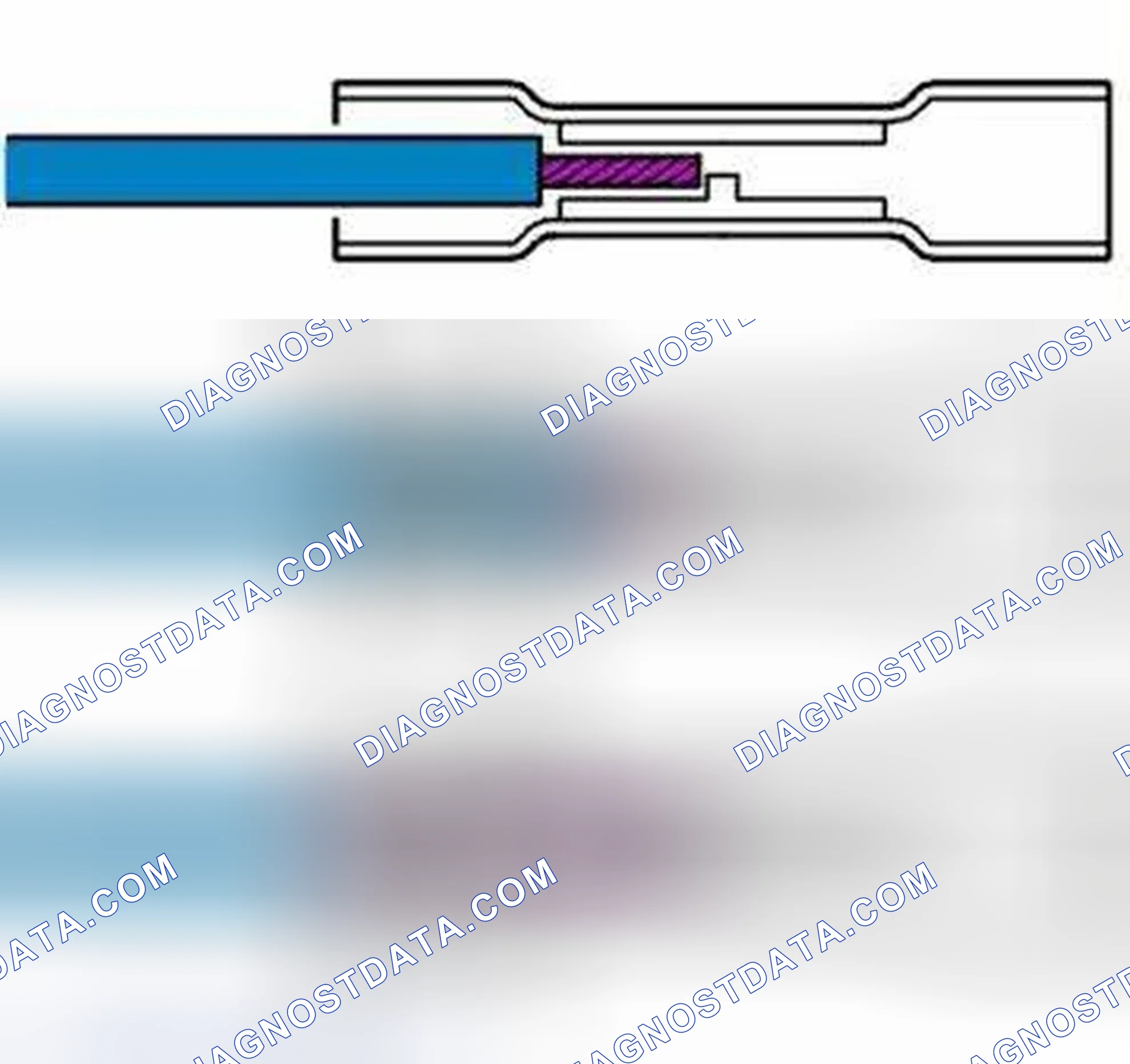 Scheme 786