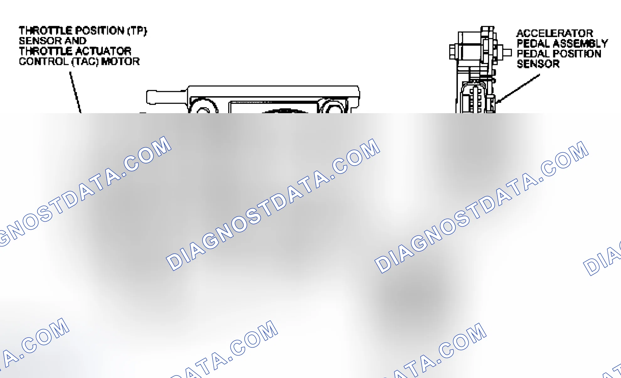Scheme 189: Accelerator Pedal Position (APP) Sensors