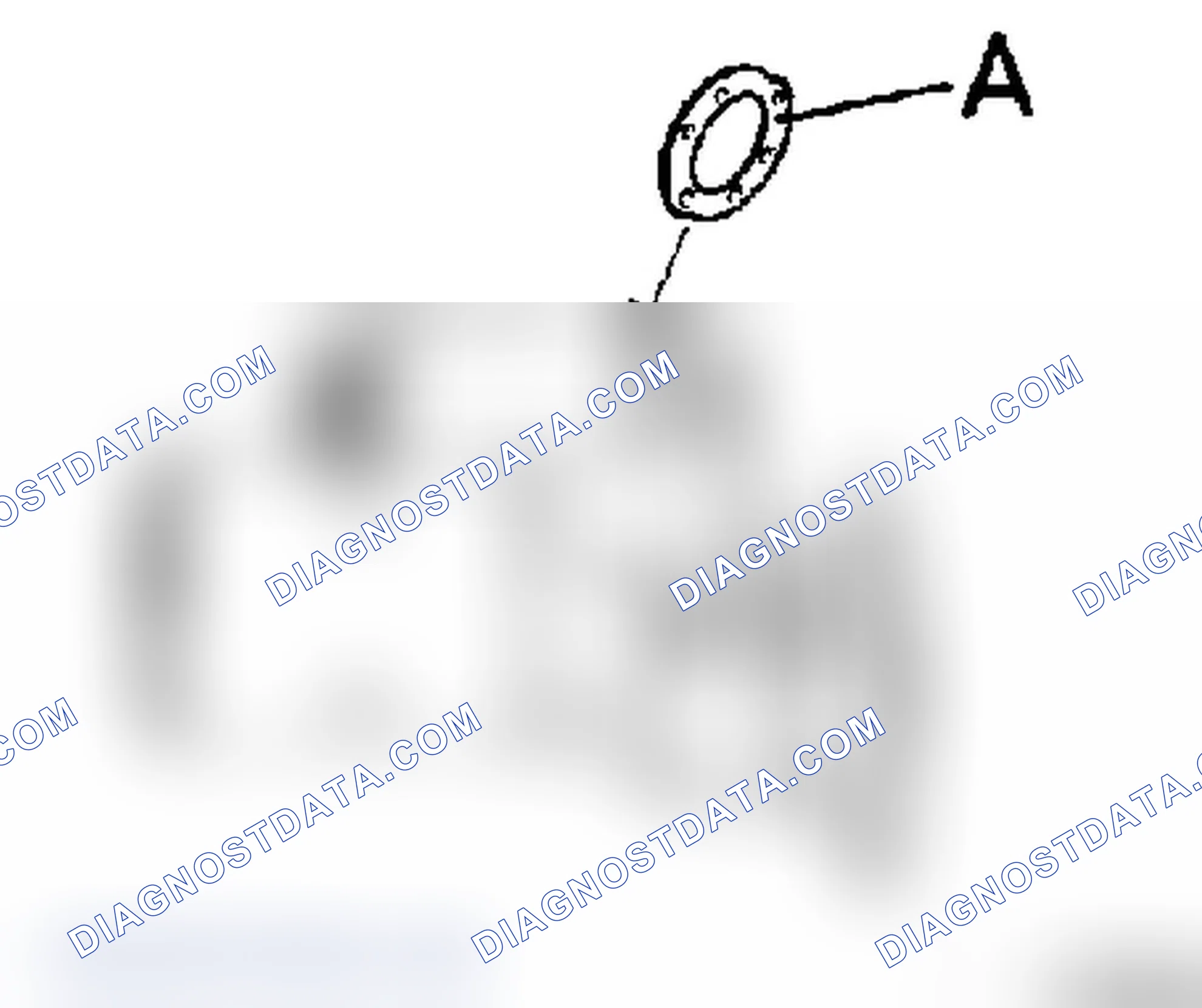How to Assemble the Starter