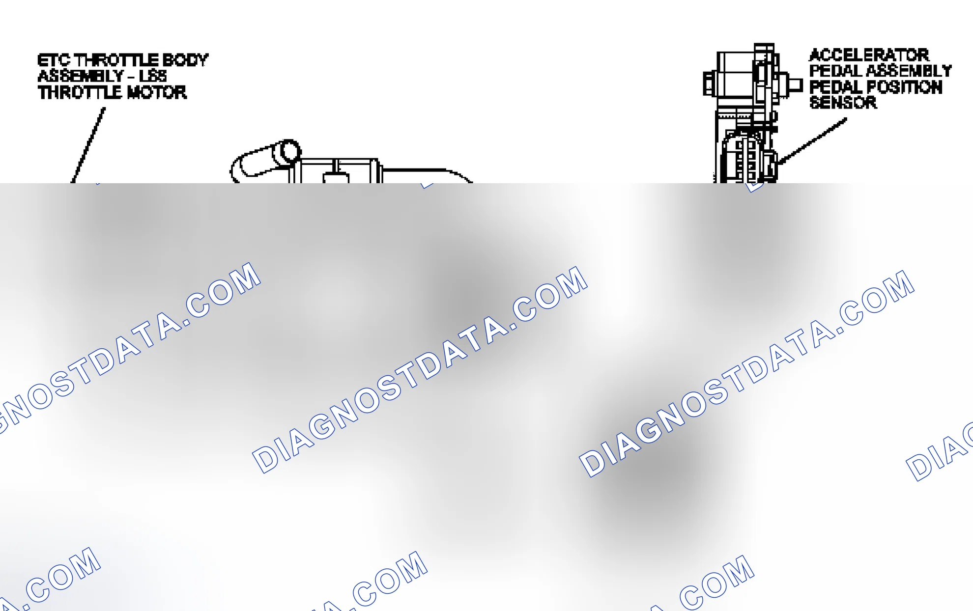 Scheme 307