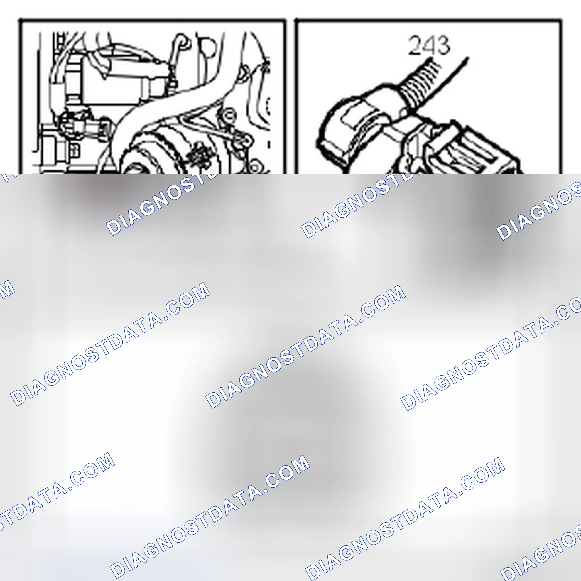 Scheme 1004: Z19DTH
