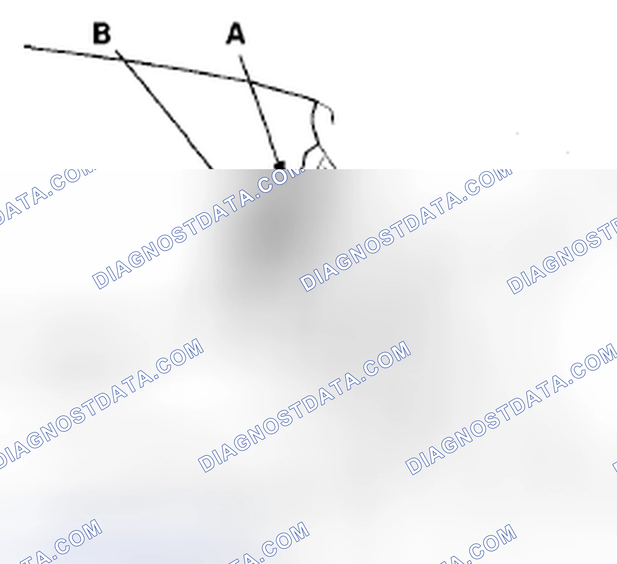 Scheme 72: Rear Window Replacement