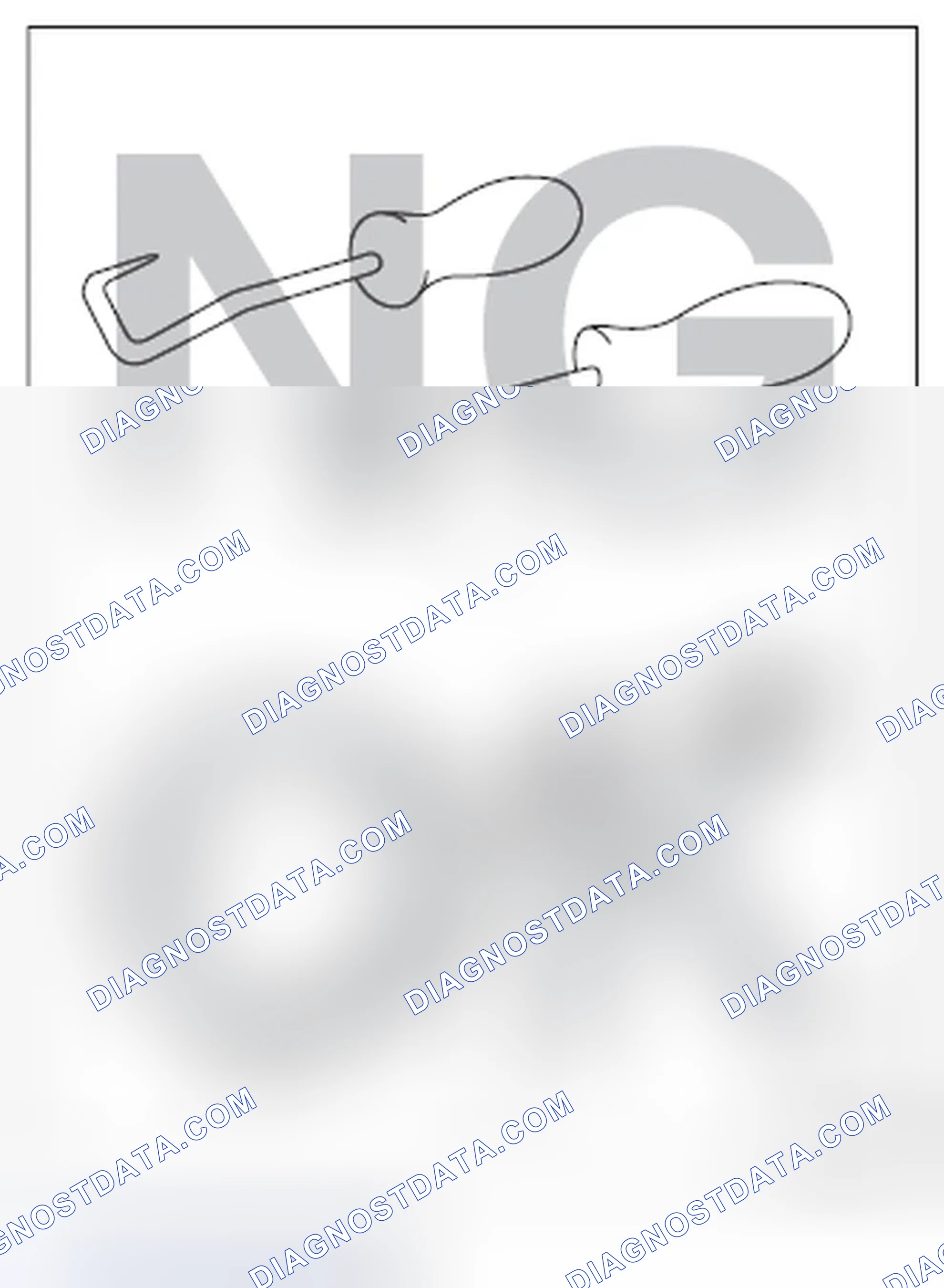 Scheme 27: REMOVAL AND INSTALLATION OPERATION OF HOSES, ETC.